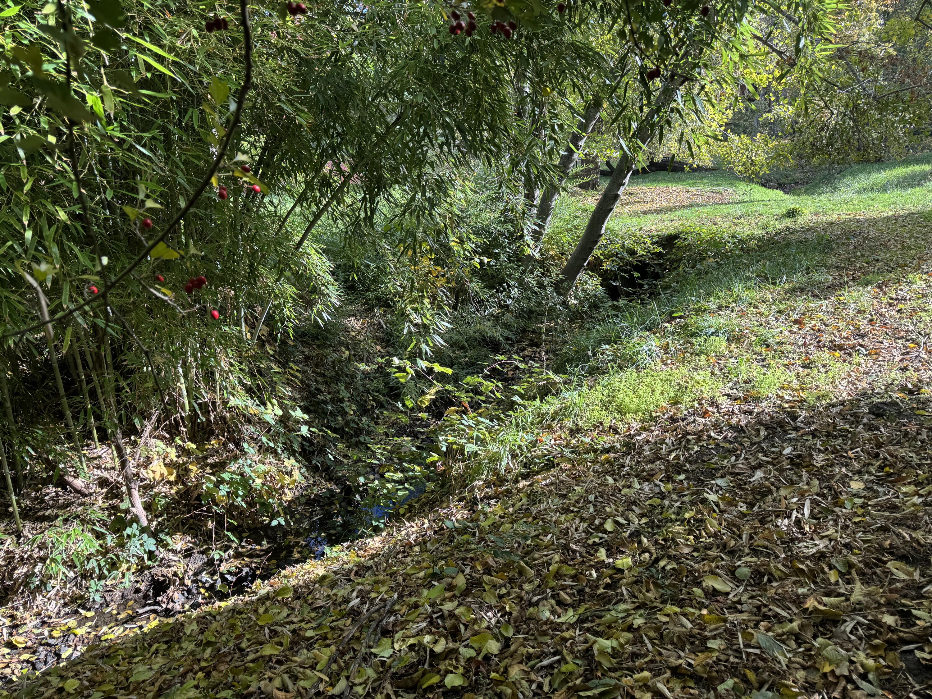 Siskiyou South Subdivision - Residential