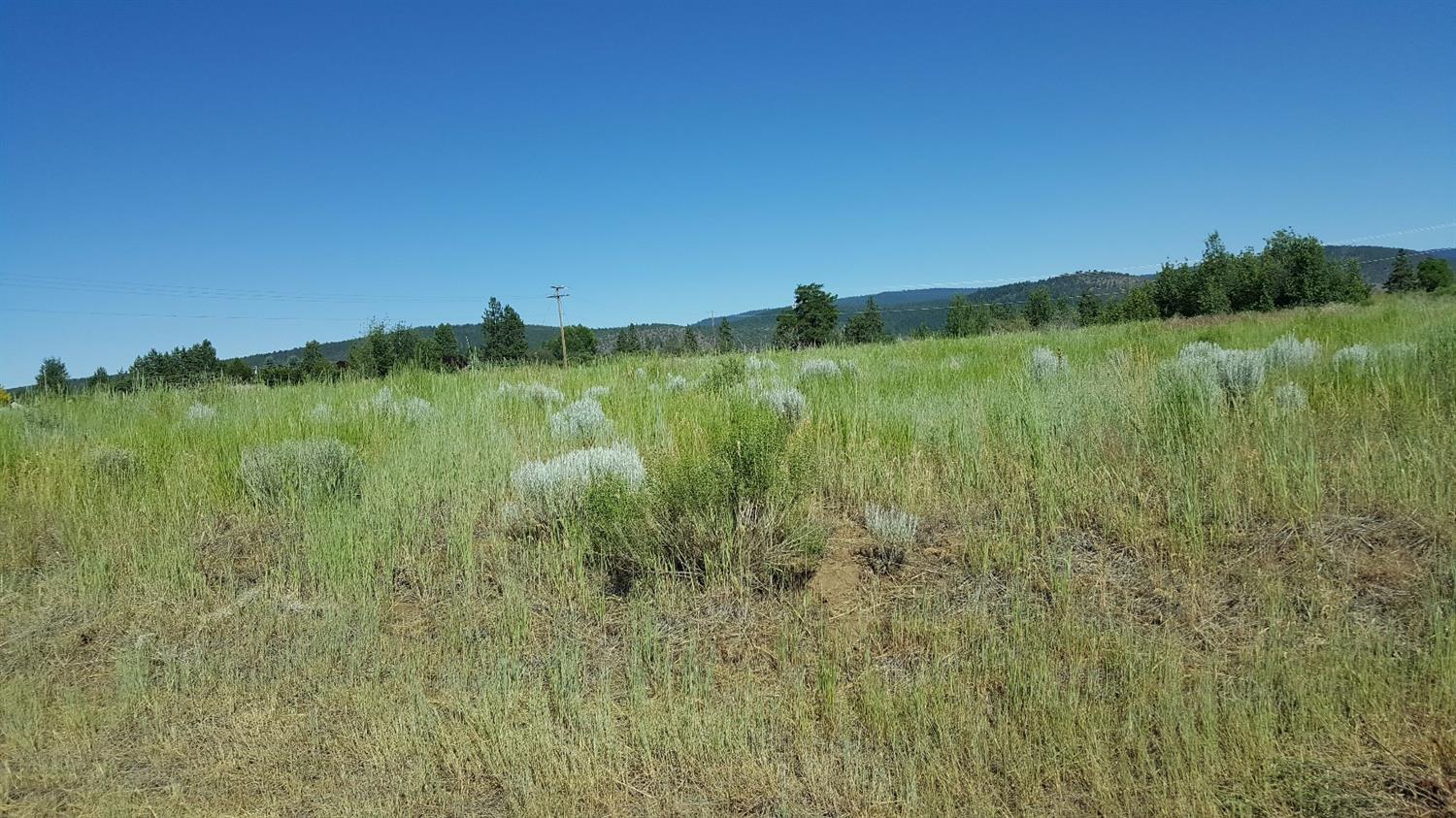 Oregon Shores - Land