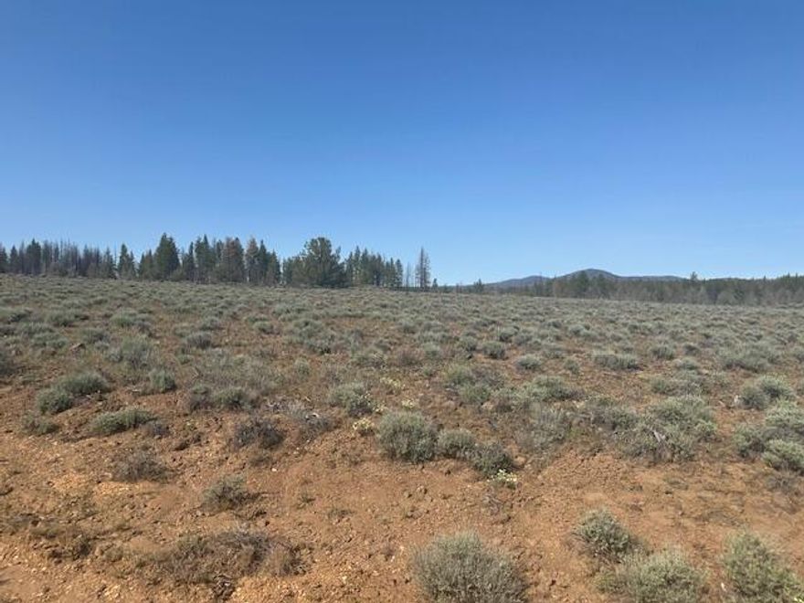 This 1.48 acre lot features great views and a remote lifestyle for anyone seeking a private and secluded location. It's conveniently located near public land, perfect for outdoor activities. Zoned residential w/legal access, come build your home, seasonal cabin, or make it your own private campground! This is a blank canvas to start your own private get away!