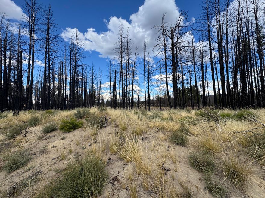 Nearly 10 acres zoned residential! Private, secluded parcel abundant with wildlife, mature trees and serene natural surroundings. Plenty of level space for building and exploring your own slice of nature. Located on a quiet road approximately 30 minutes to Bly and 1.5 hours from Klamath Falls. Nearby Cascade Mountains and tons of rivers, streams and lakes-this area is an outdoor enthusiast's paradise-hunting, birding, fishing, kayaking, hiking, biking and more! Perfect for off-grid living, recreation and a small, private homestead. Nestled in the wilderness, imagine your dream escape today! Approximate Coordinates 42.664247, -121.179405.