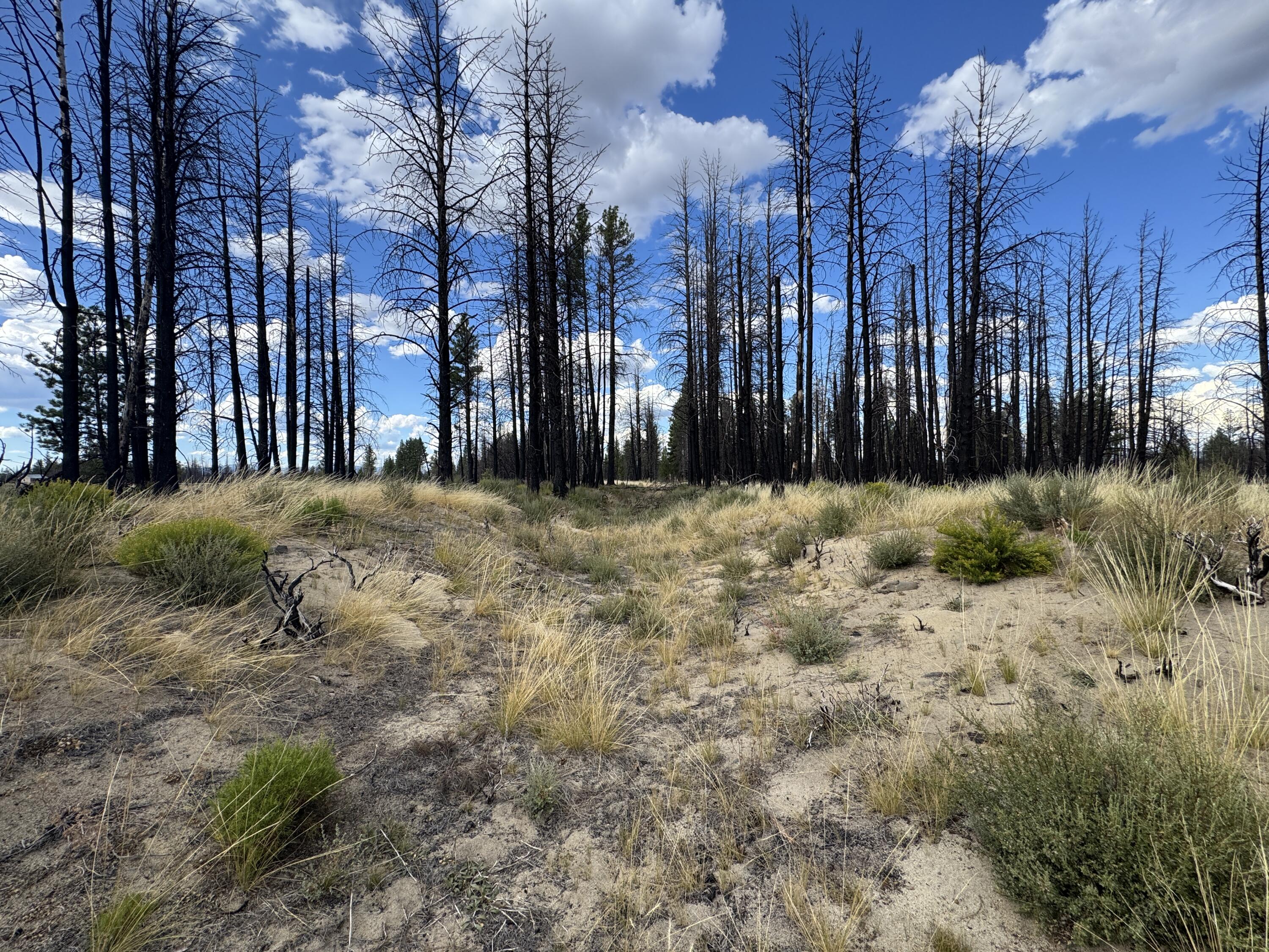 Klamath Falls Forest Estates -Sycan Unit - Land