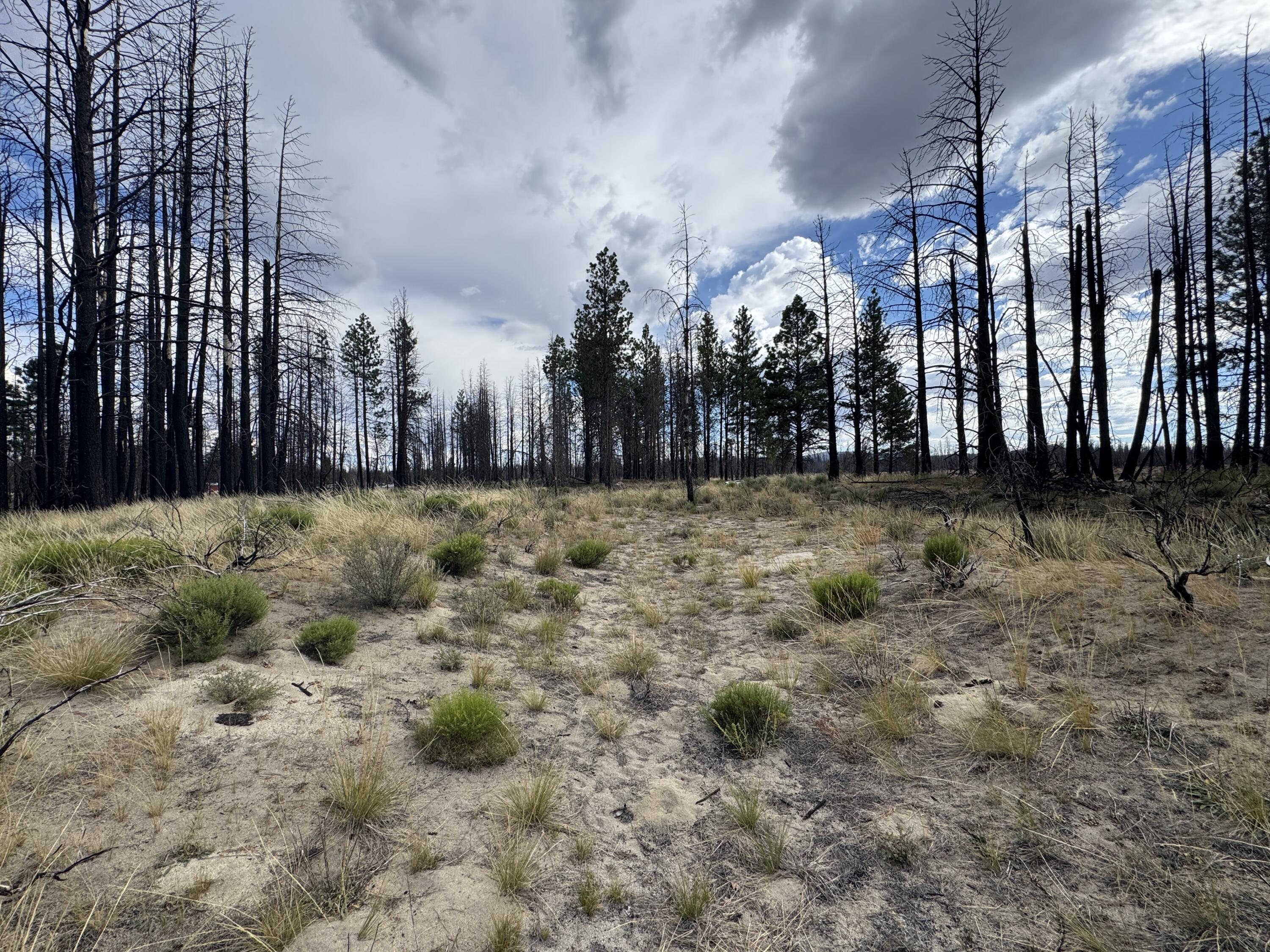 Klamath Falls Forest Estates -Sycan Unit - Land