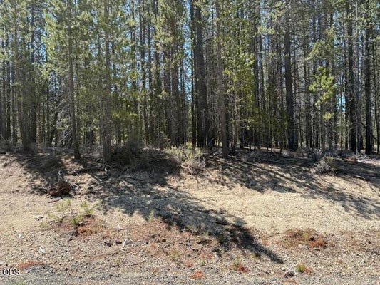 SURVEYOR RD, CRESCENT, OR 97733 - Image 97fcd8dbccb98e3d75e9fdd73849e41e/1053462431