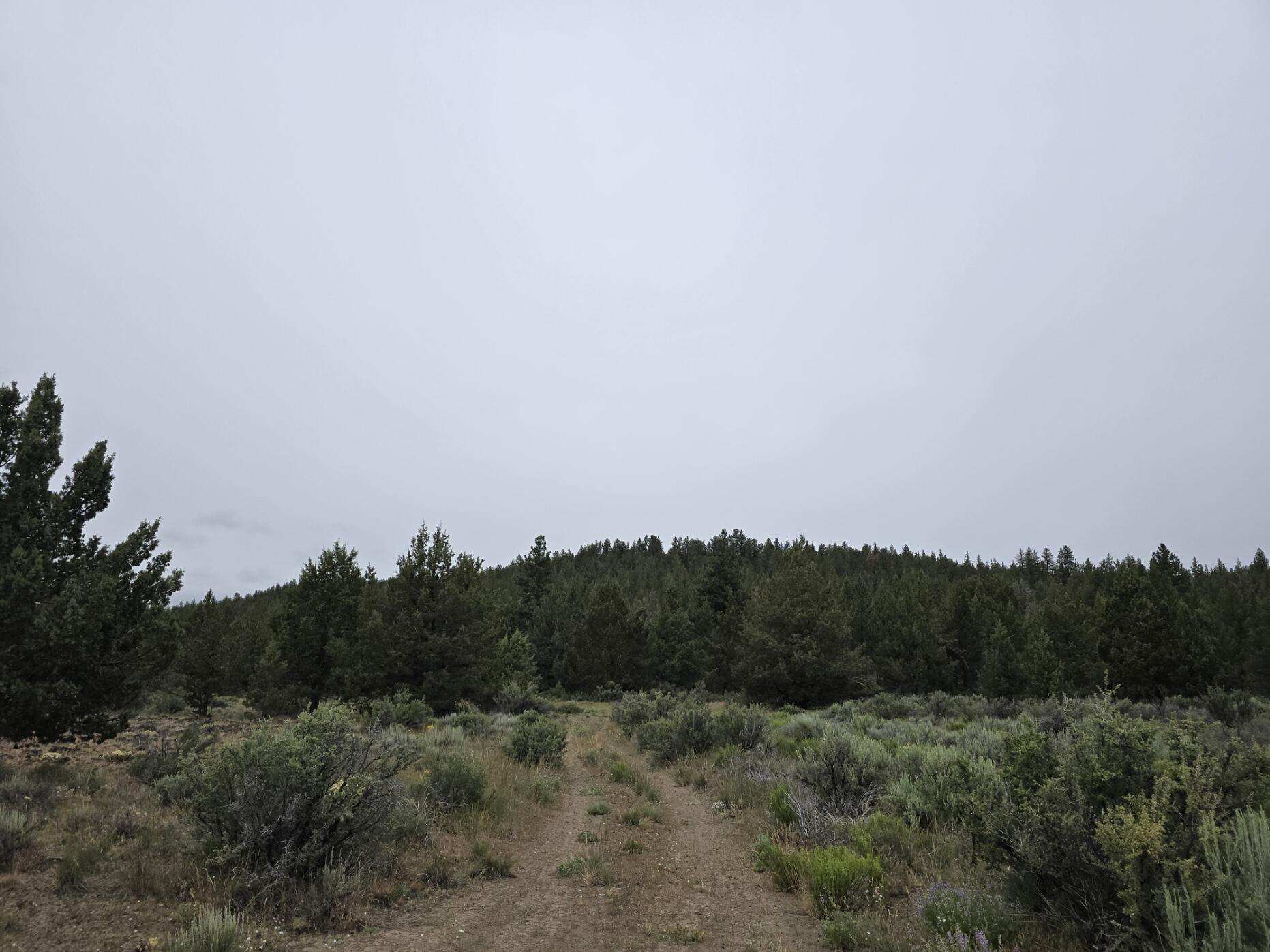 Sprague River - Land