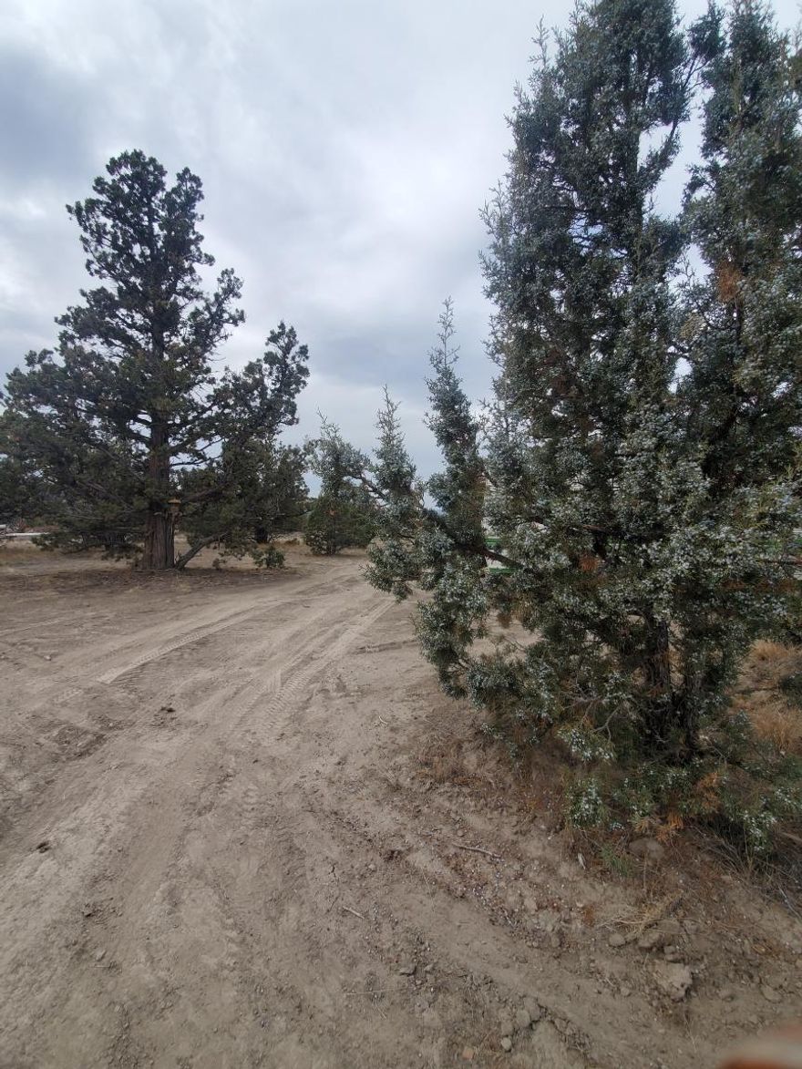 Wonderful nearly 2 acre home site with Mountain Views. Property backs up to BLM. Great investment  for future home site and use it for recreational property until you are ready to build. Has a shed and dog run in place.  Power is next to entrance. Ride your ATVs right off the back of the property. Close to Prineville Reservoir. Seller is open to Owner will Carry.
