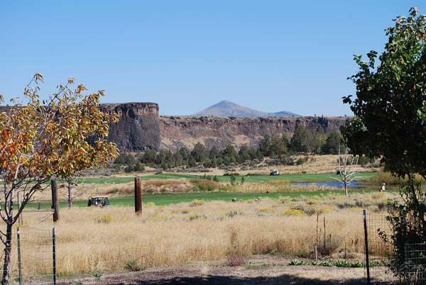 Crr16 - Commercial Sale