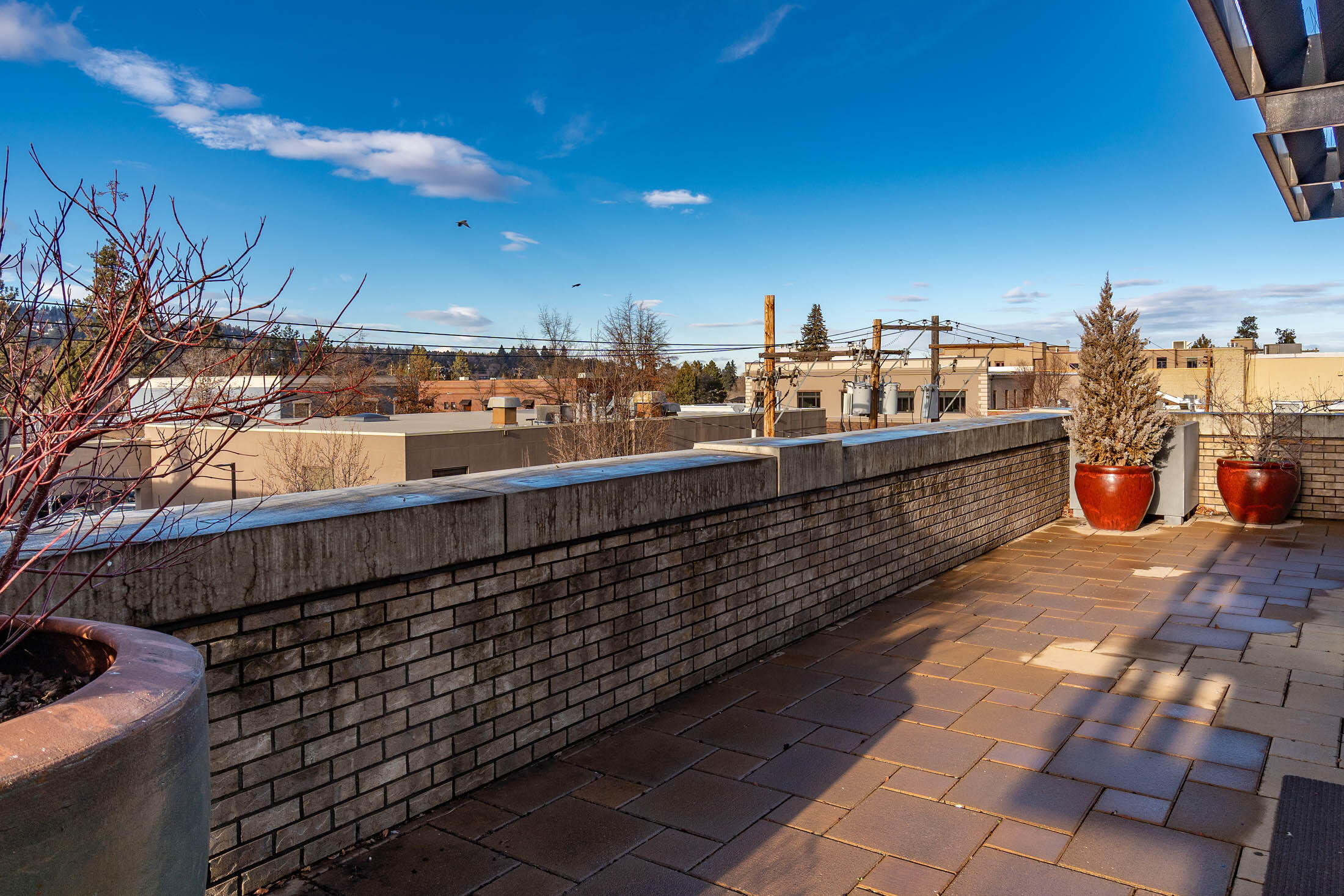 919 Bond Condominium - Residential