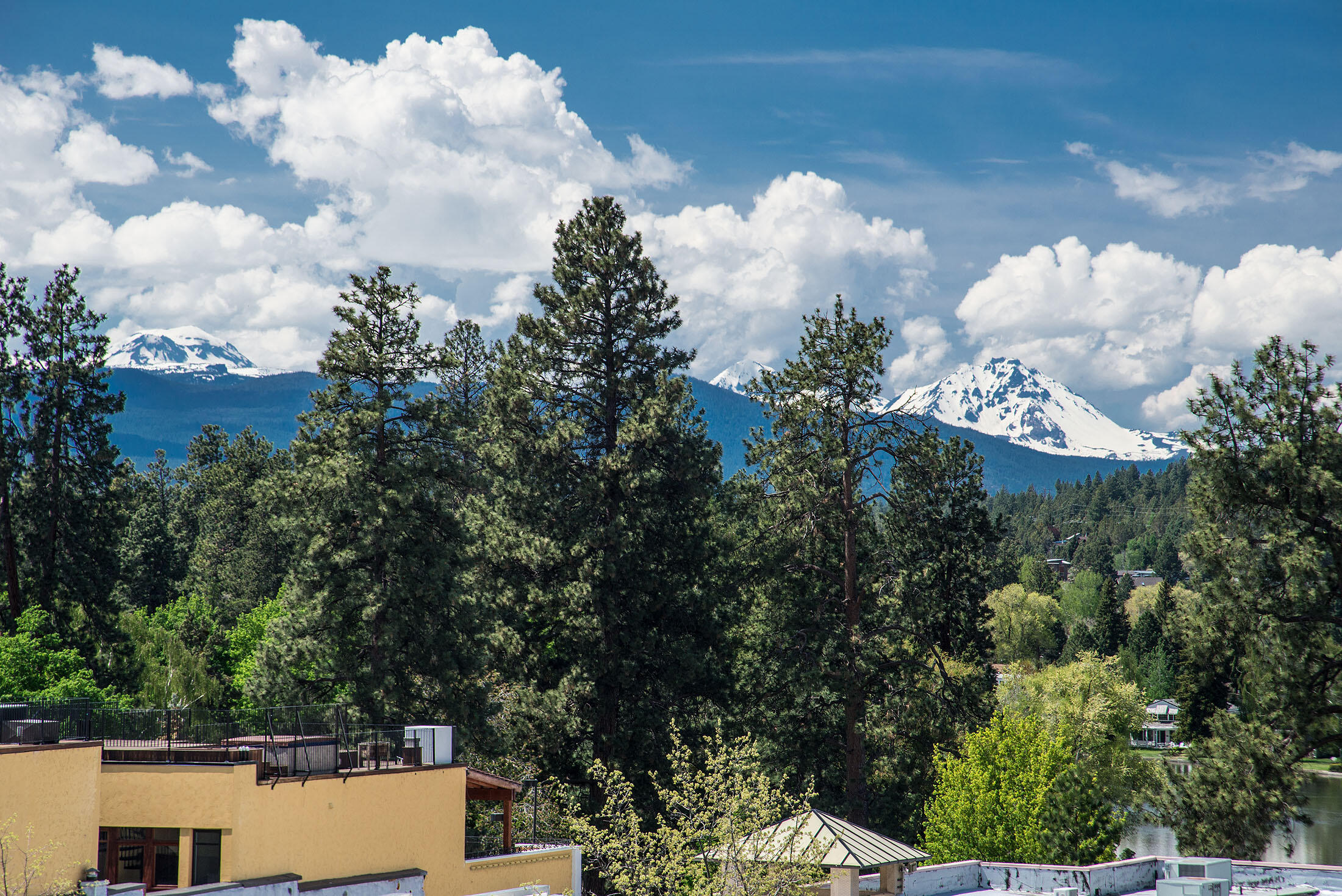 919 Bond Condominium - Residential