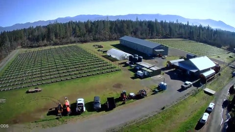 Photo of 3160 Rockydale Road, Cave Junction, OR 97523 (MLS # 220225278)