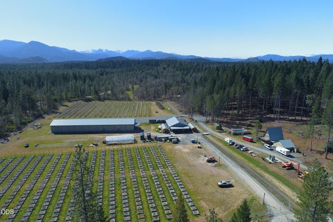 Tiny photo for 3160 Rockydale Road, Cave Junction, OR 97523 (MLS # 220225278)