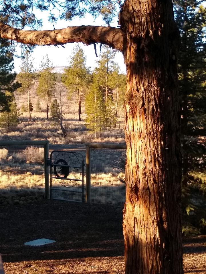 Sundance East - Residential