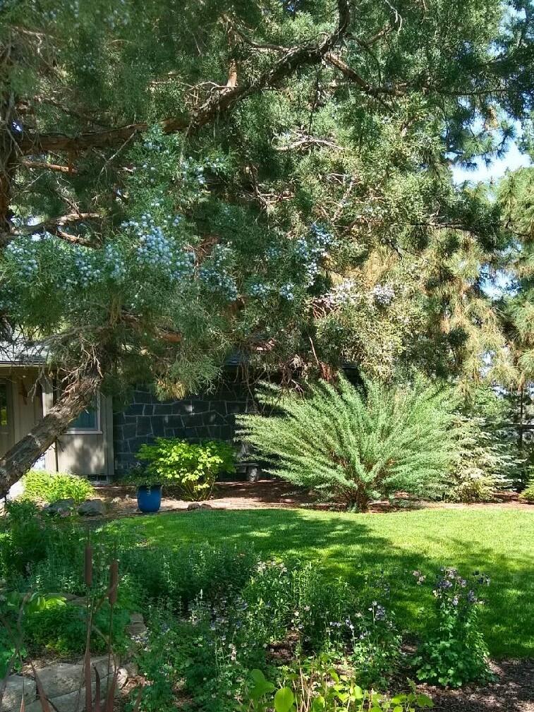 Sundance East - Residential