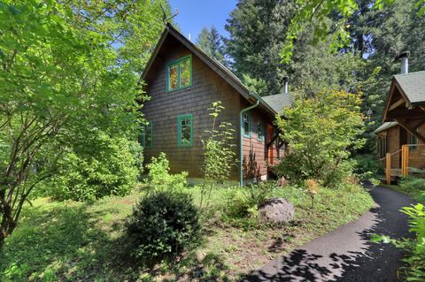 Tiny photo for 56411 McKenzie Highway #6, McKenzie Bridge, OR 97413 (MLS # 220213563)