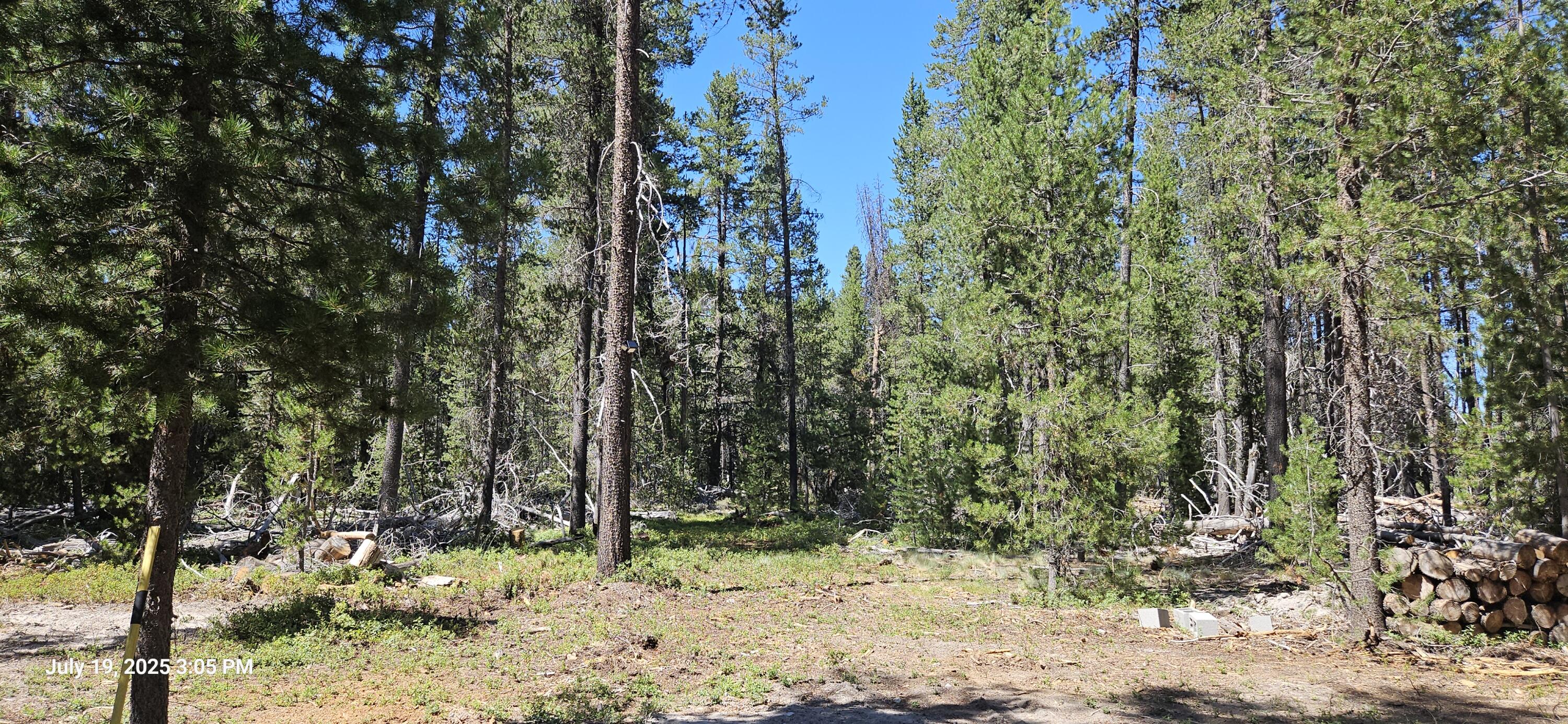 Mt. Scott Meadow - Land