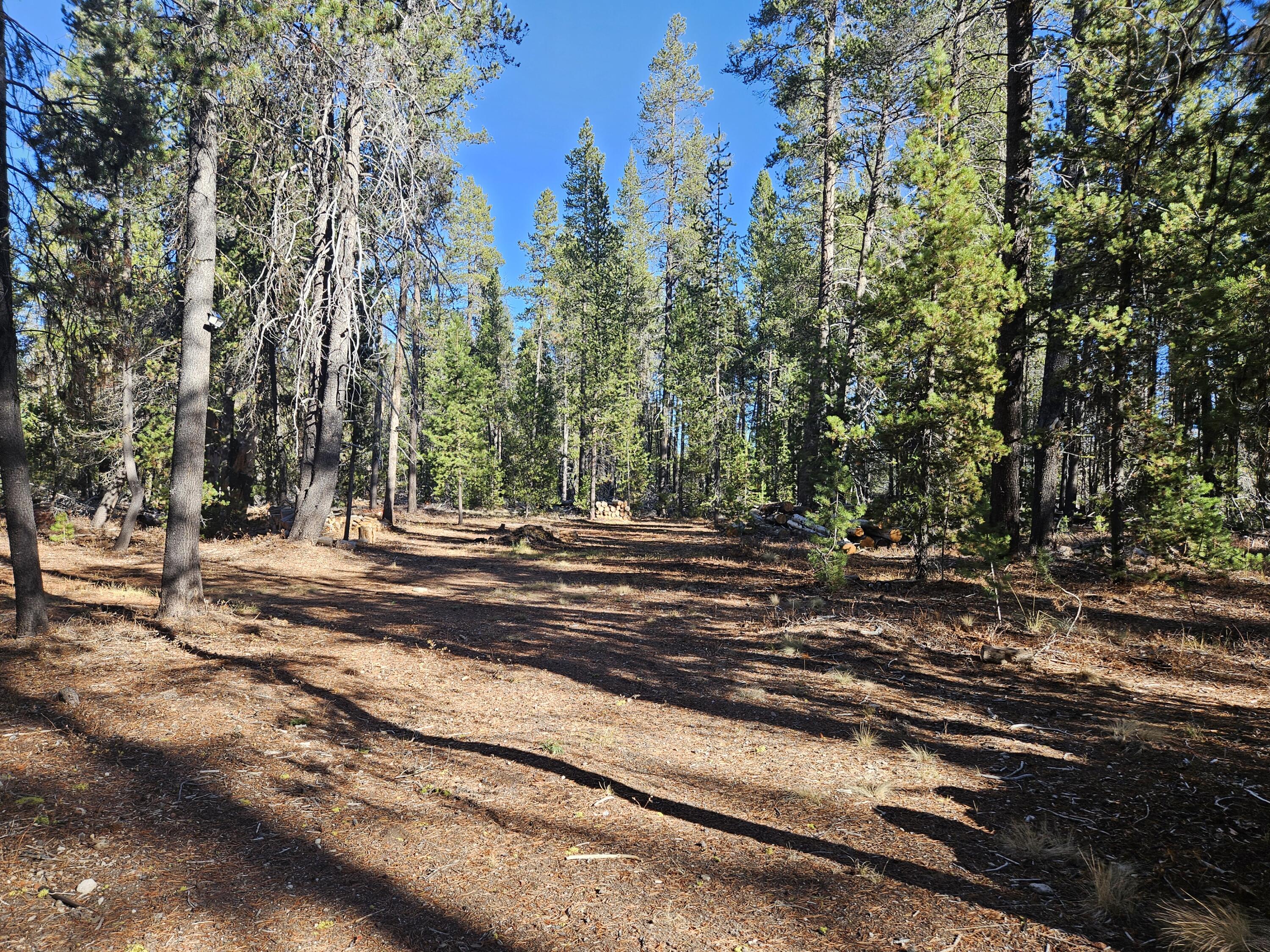 Mt. Scott Meadow - Land