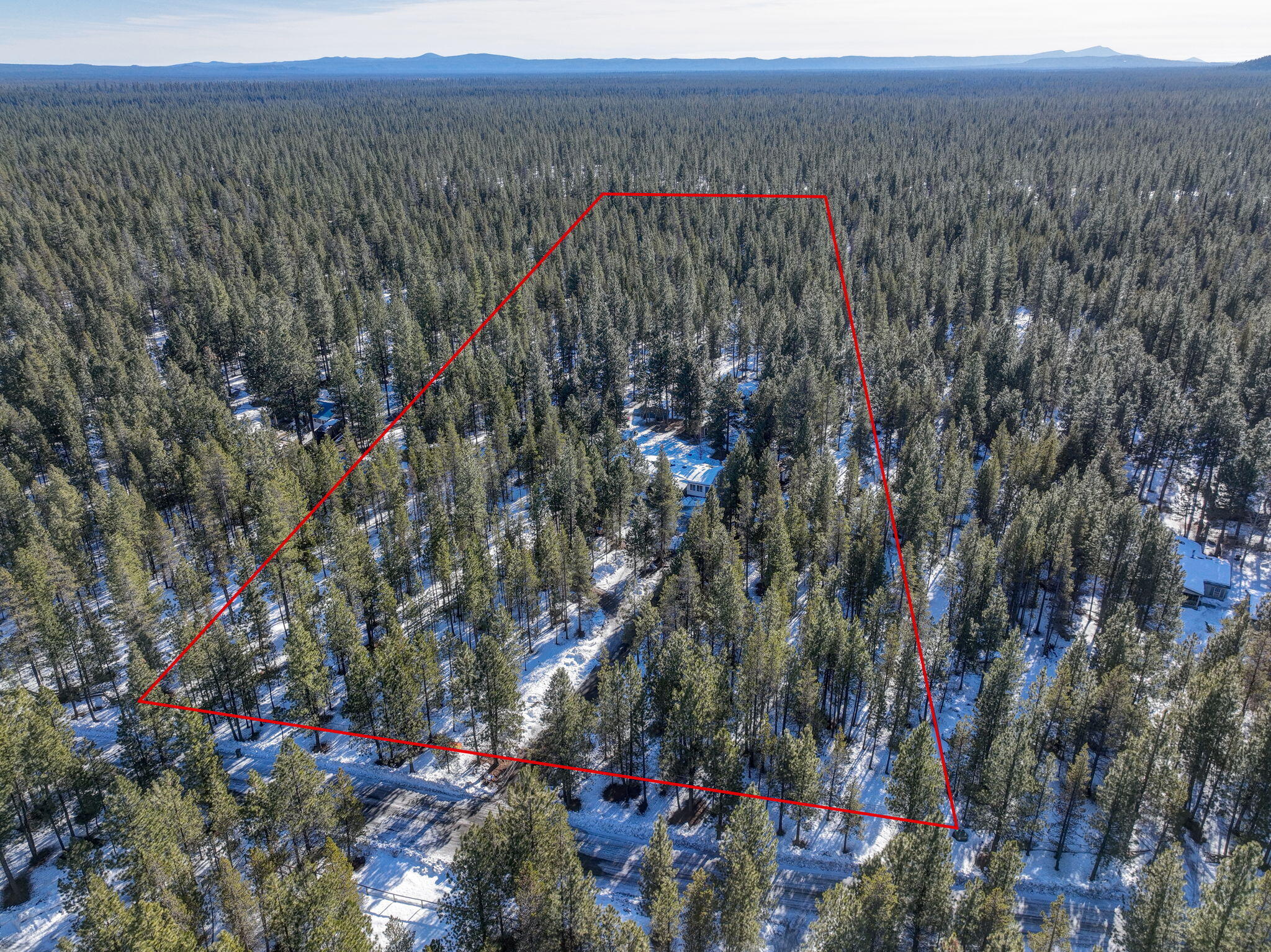 Ponderosa Pines - Residential