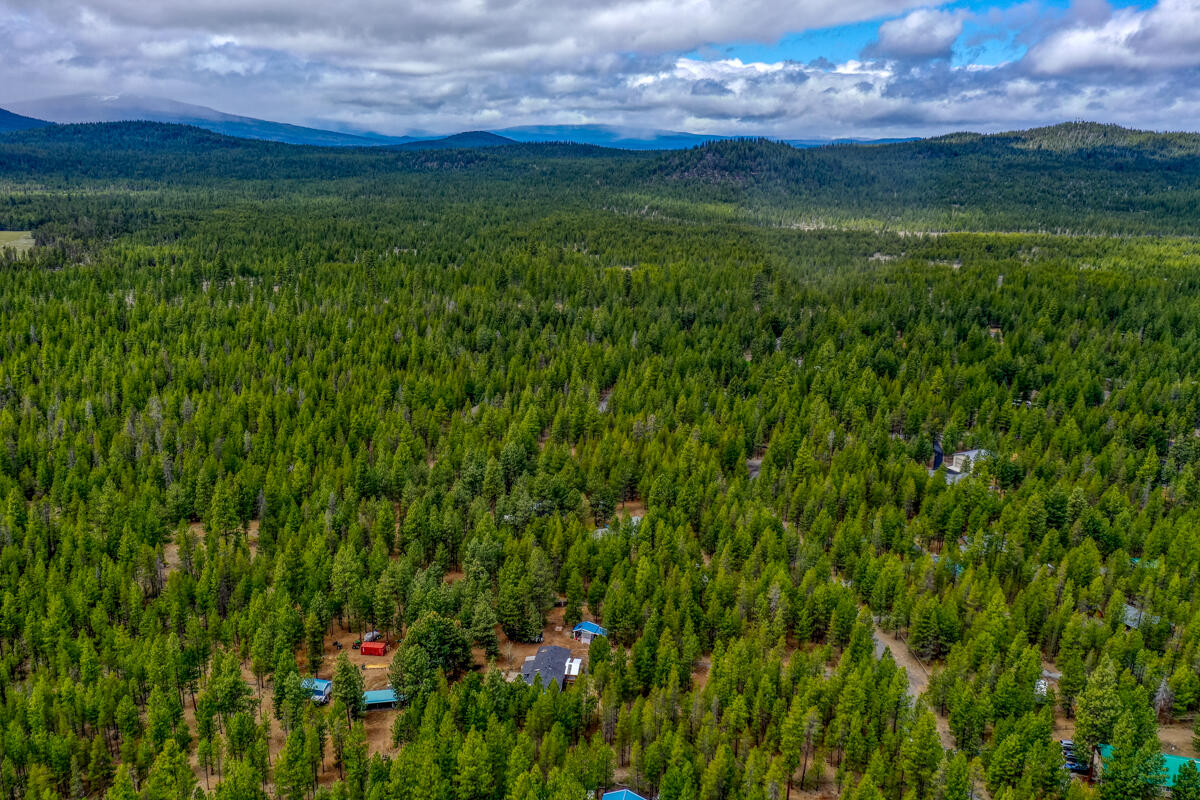 Ponderosa Pines - Residential