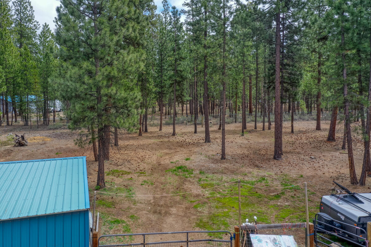 Ponderosa Pines - Residential