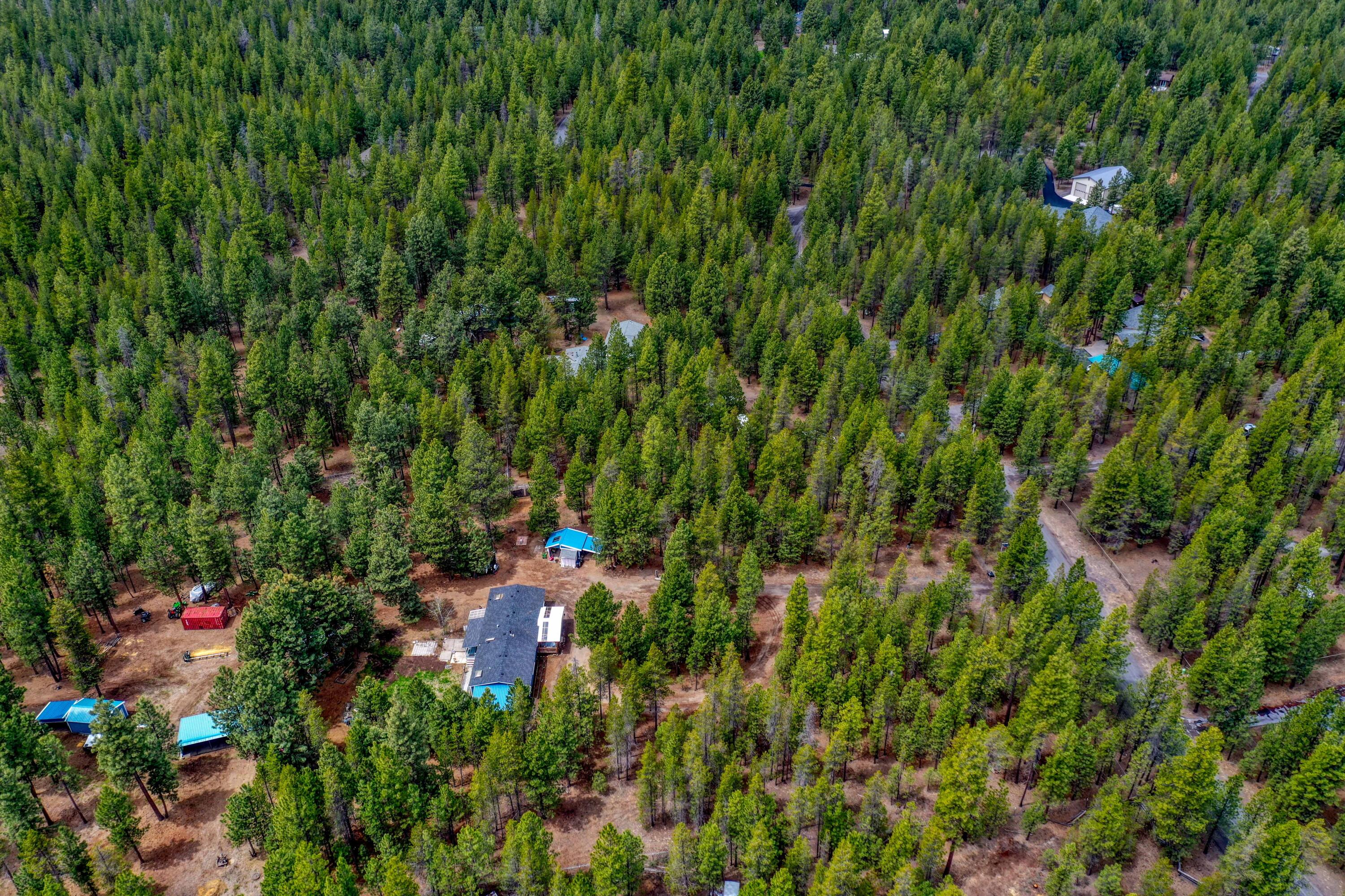 Ponderosa Pines - Residential