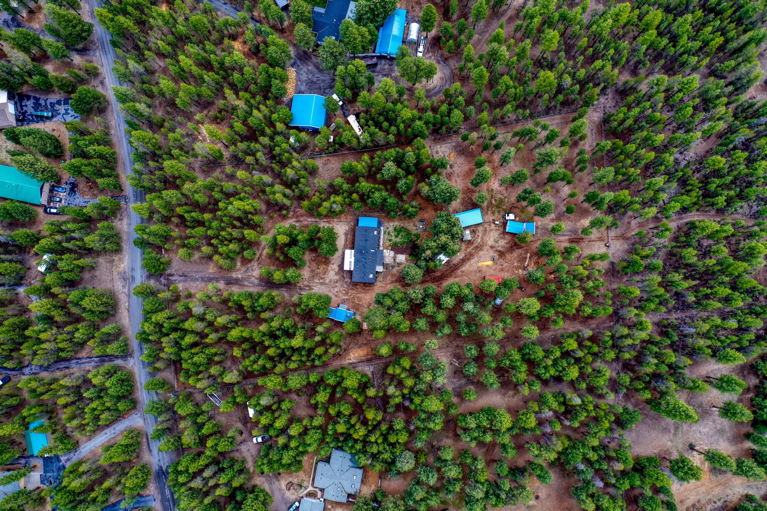 Ponderosa Pines - Residential