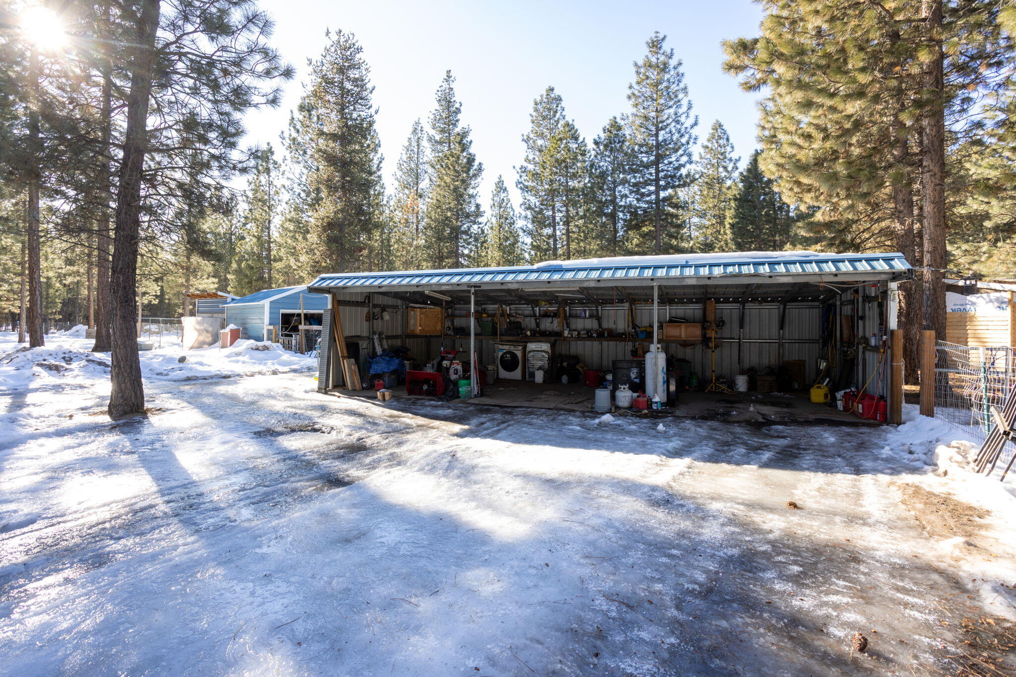 Ponderosa Pines - Residential