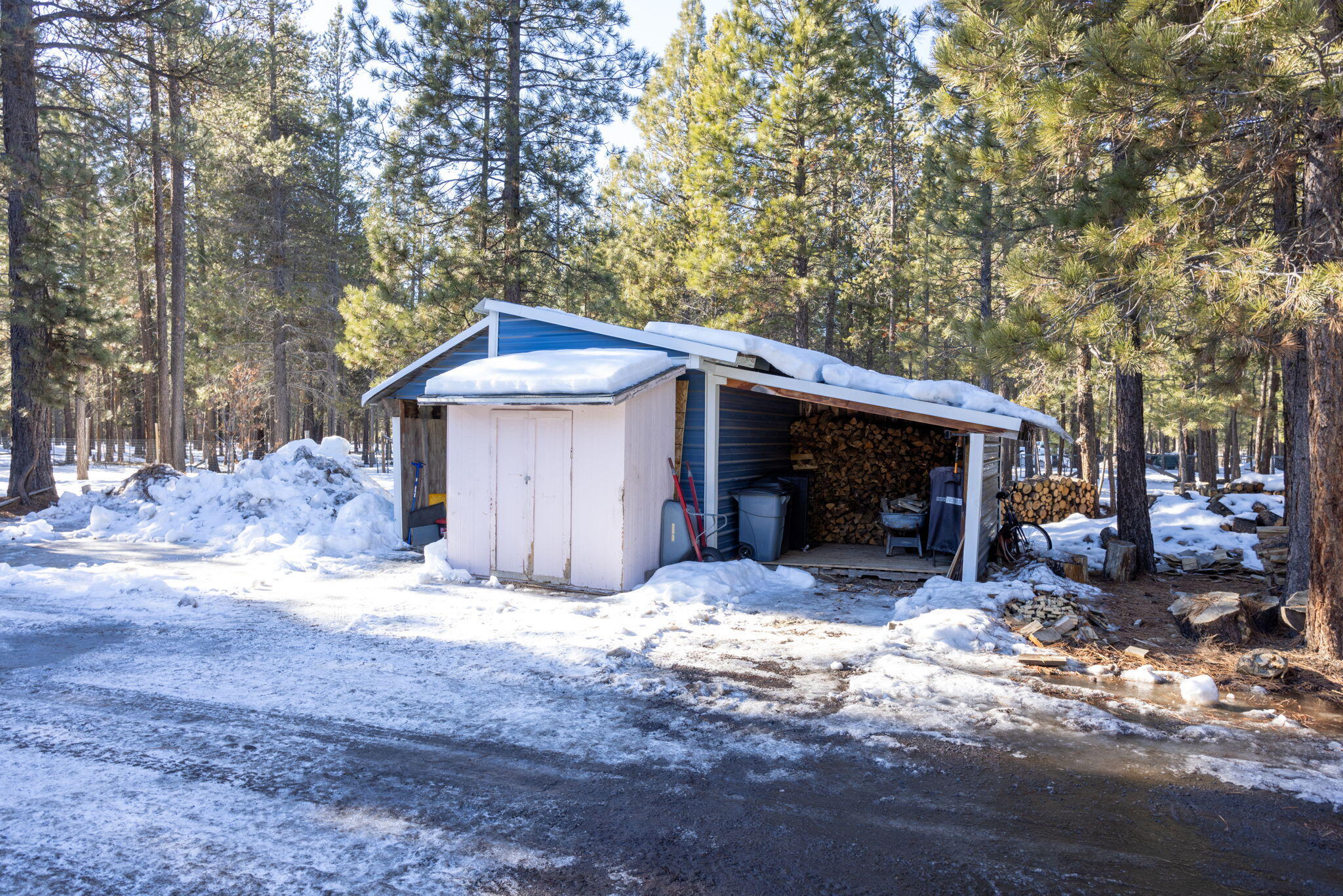 Ponderosa Pines - Residential