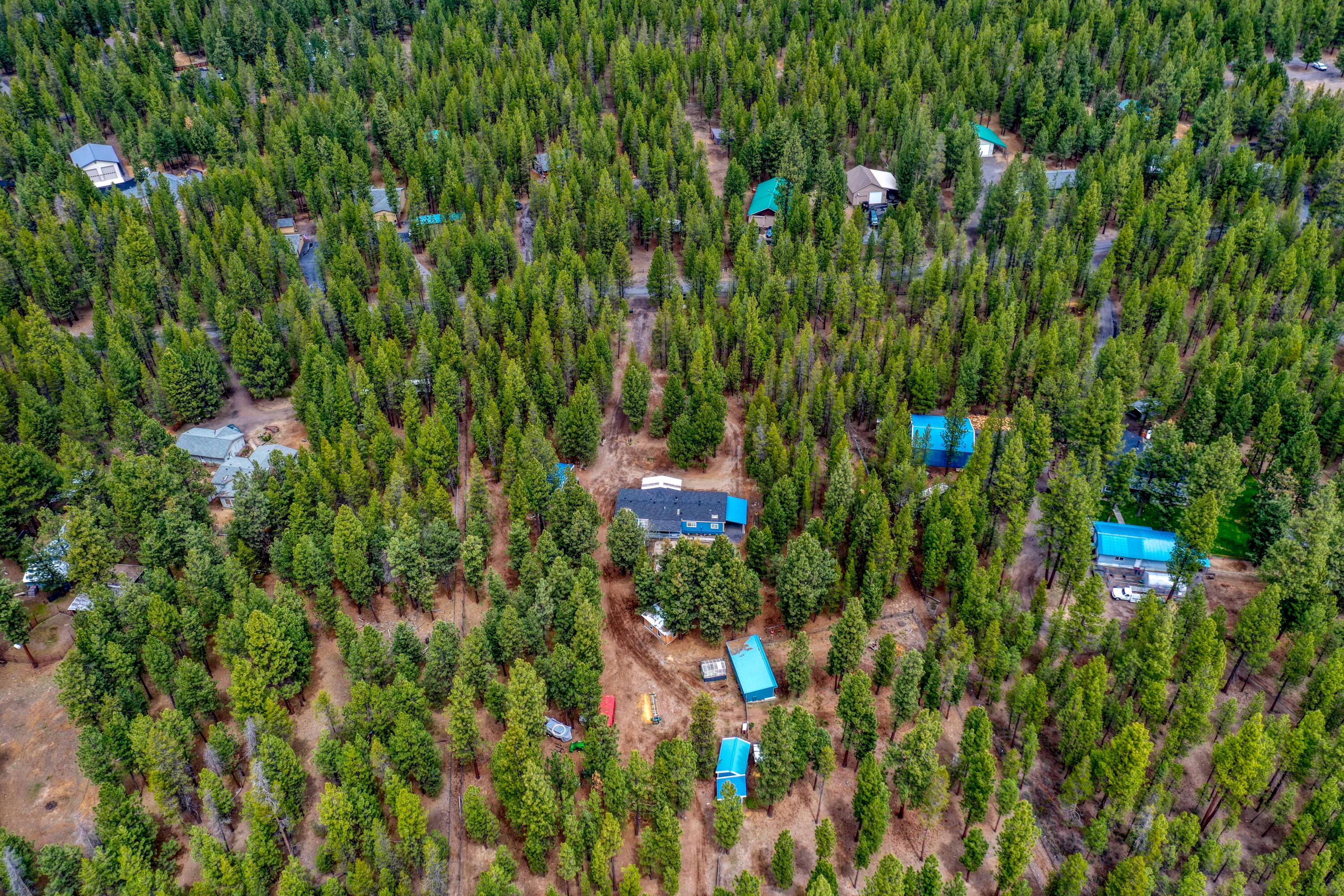 Ponderosa Pines - Residential