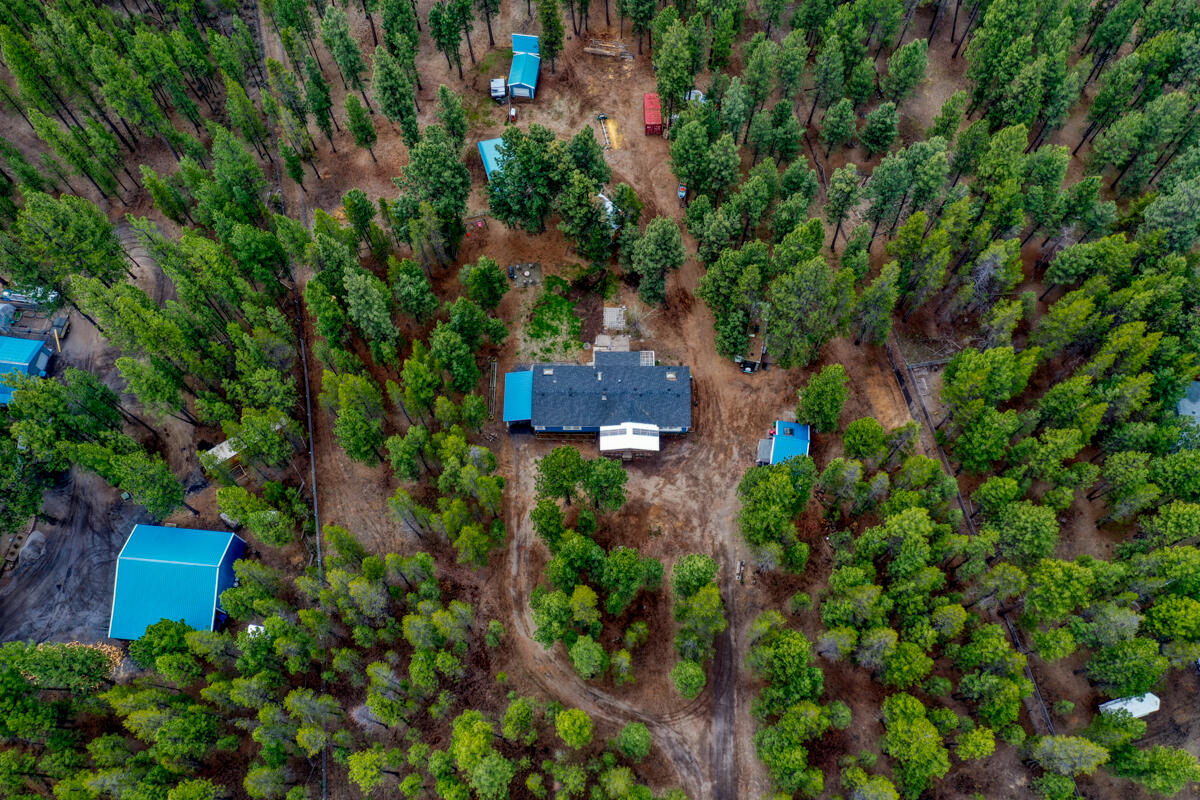 Ponderosa Pines - Residential