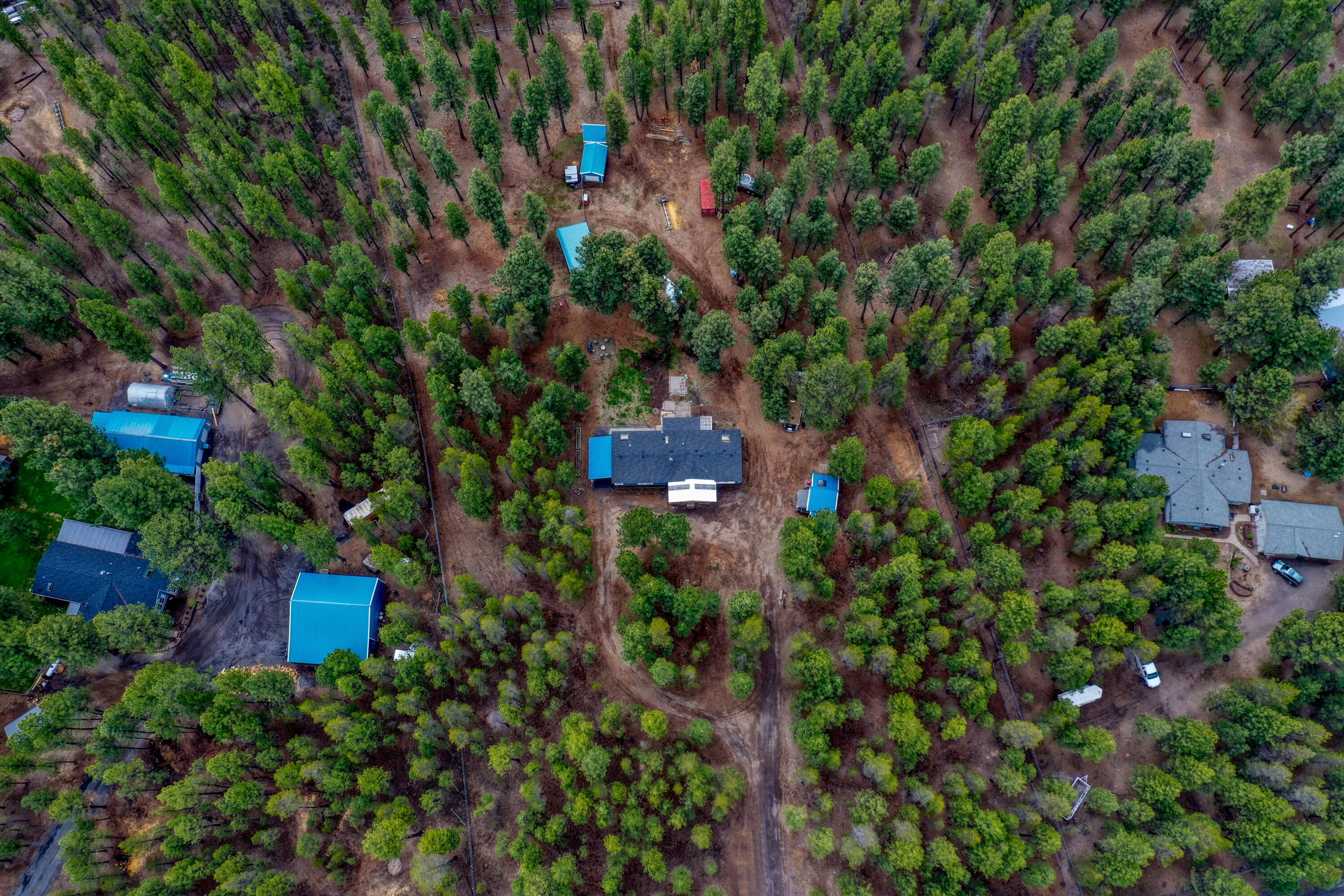 Ponderosa Pines - Residential