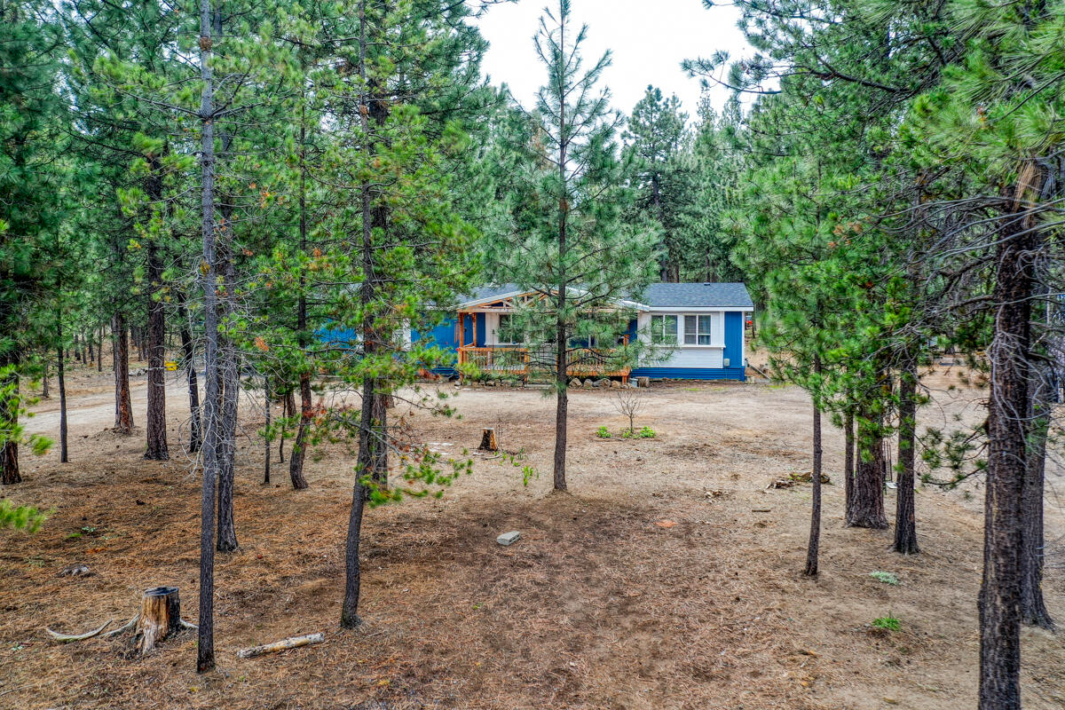 Ponderosa Pines - Residential