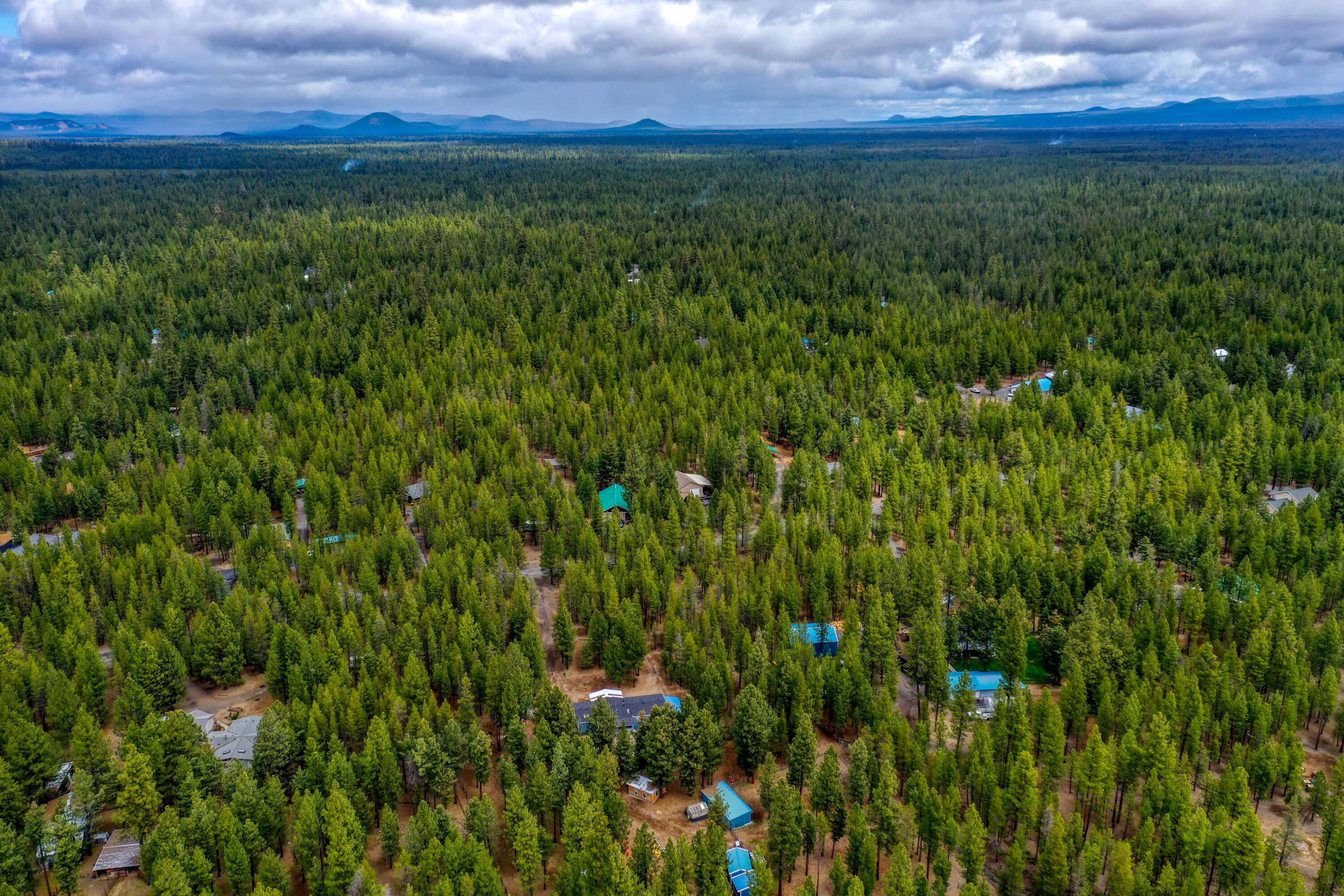 Ponderosa Pines - Residential