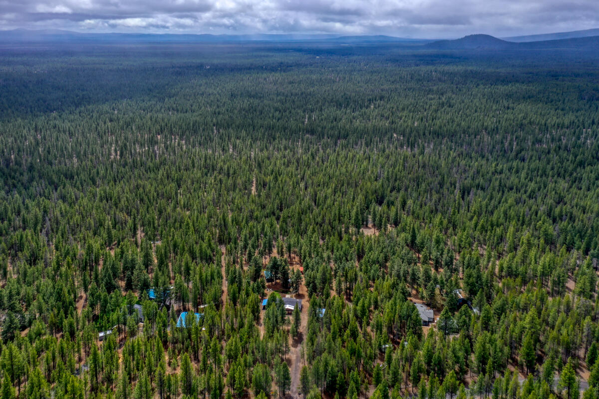 Ponderosa Pines - Residential