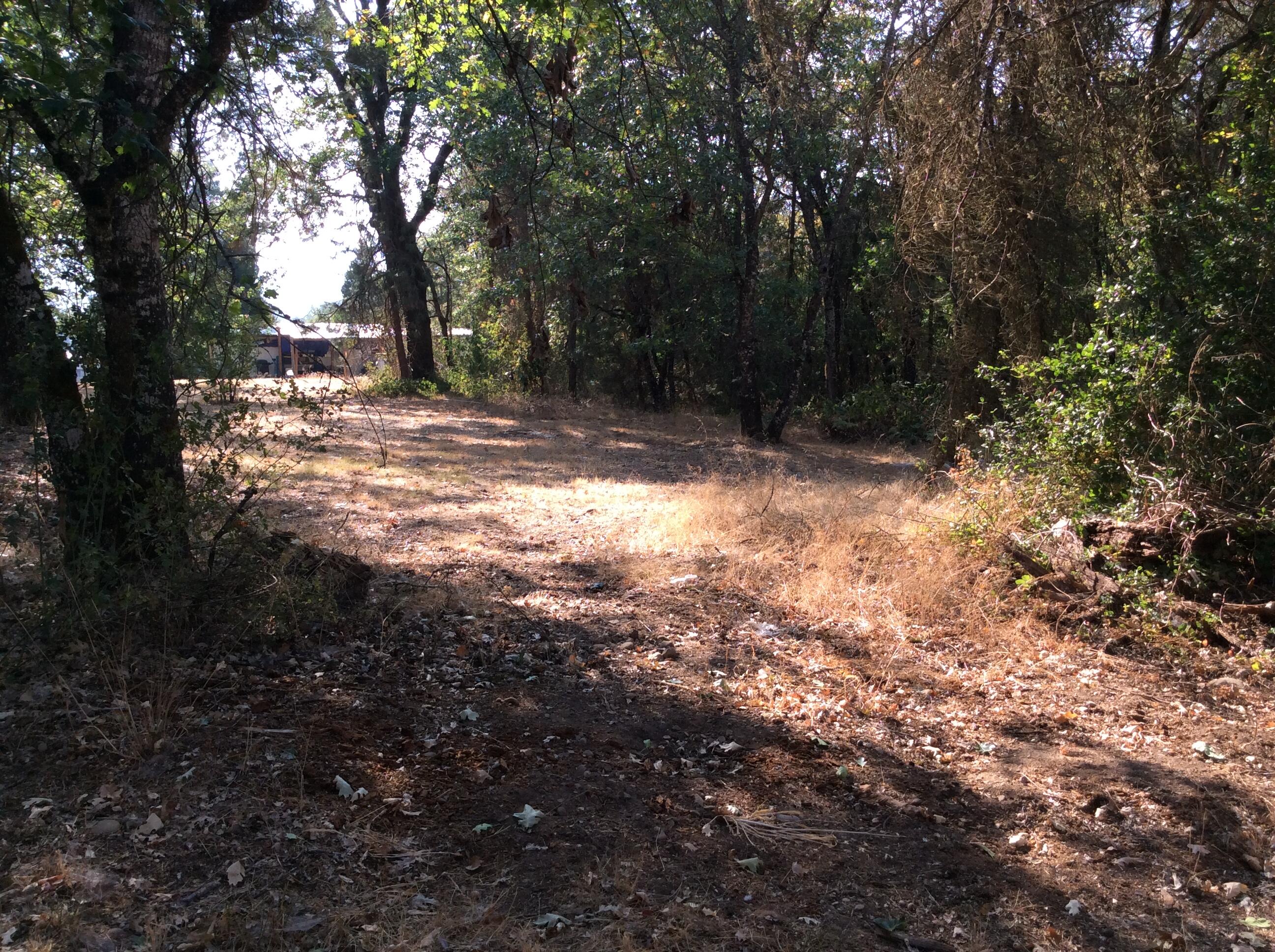 Buckskin Knolls - Land