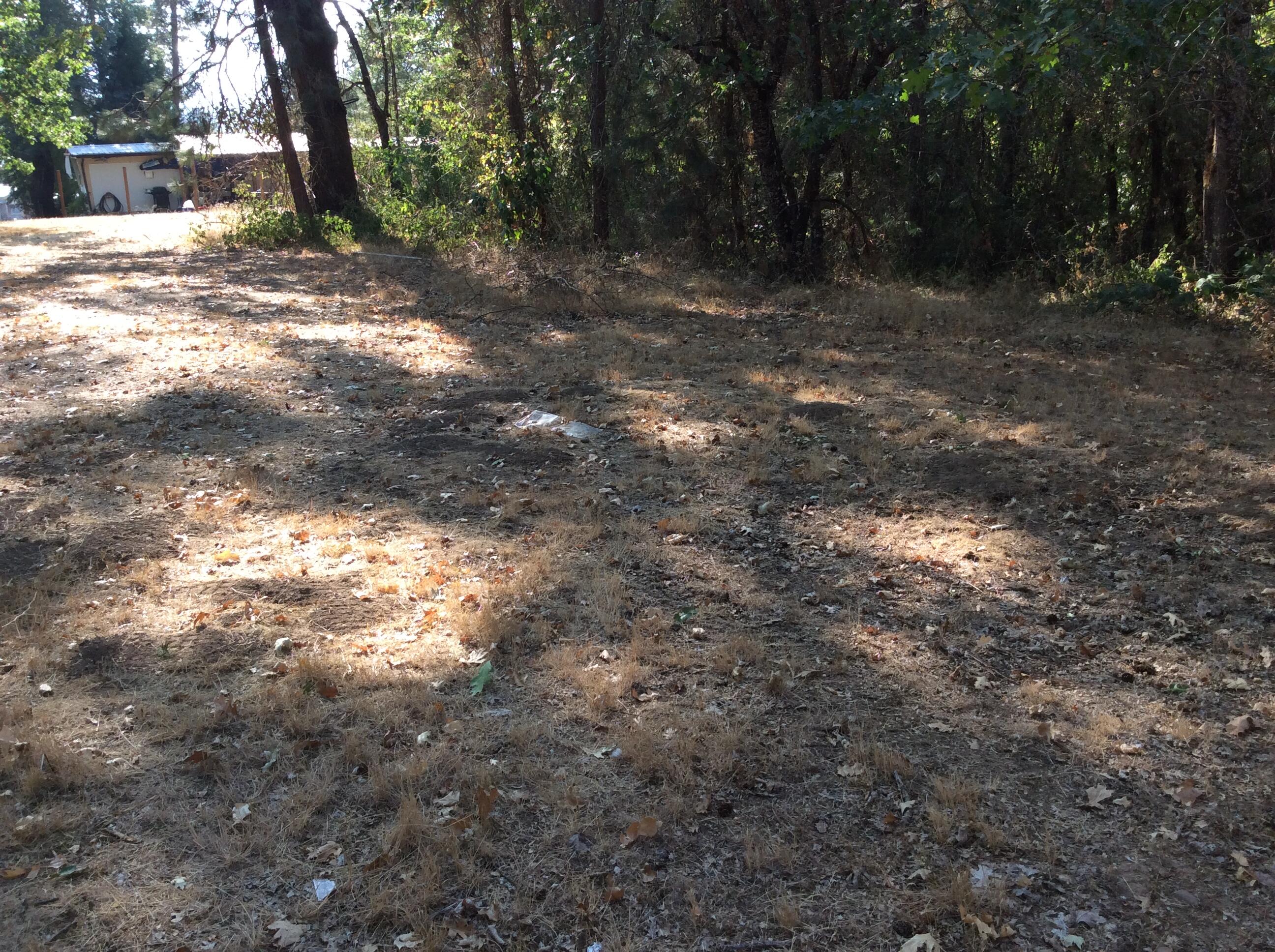 Buckskin Knolls - Land