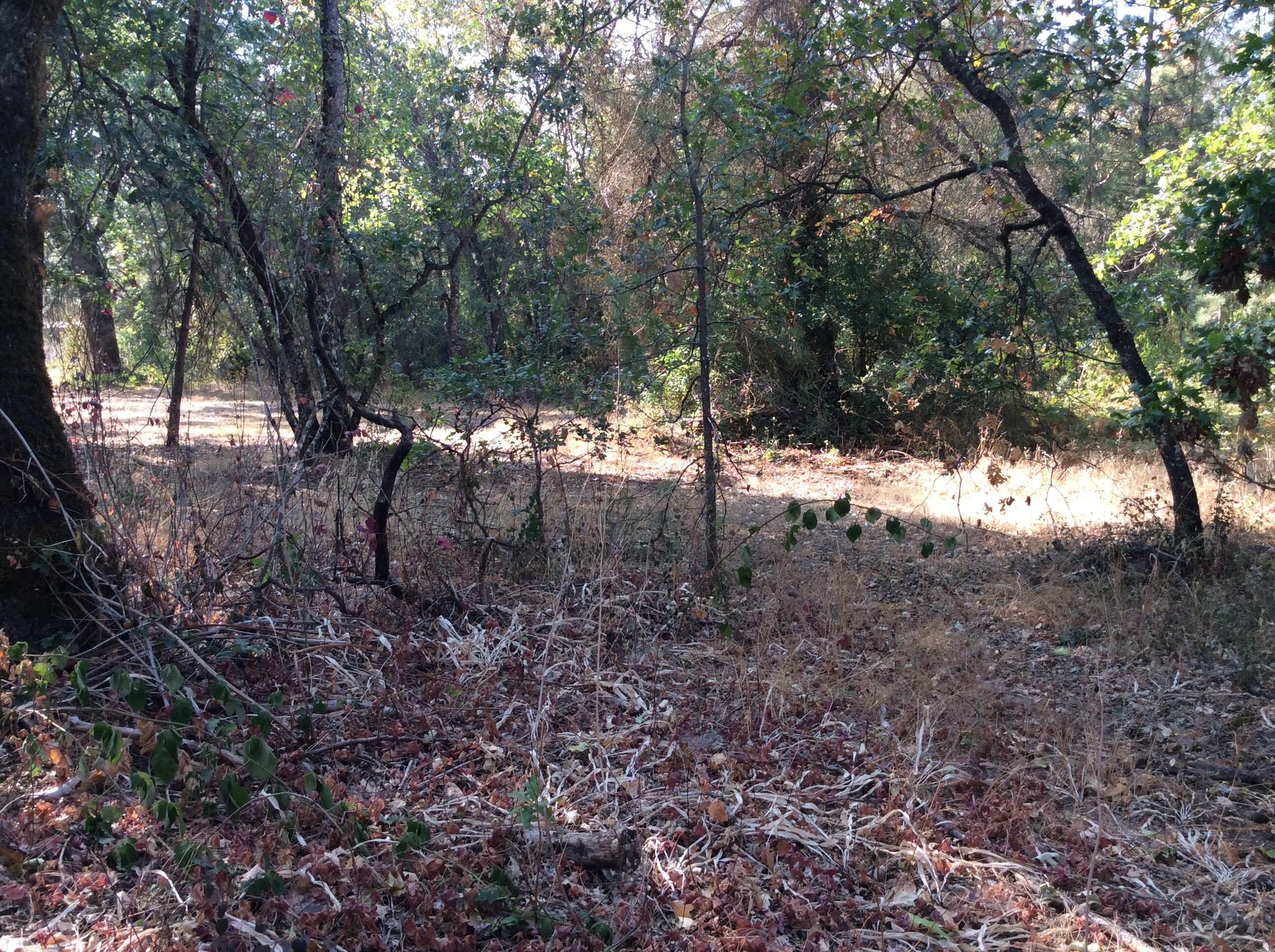 Buckskin Knolls - Land