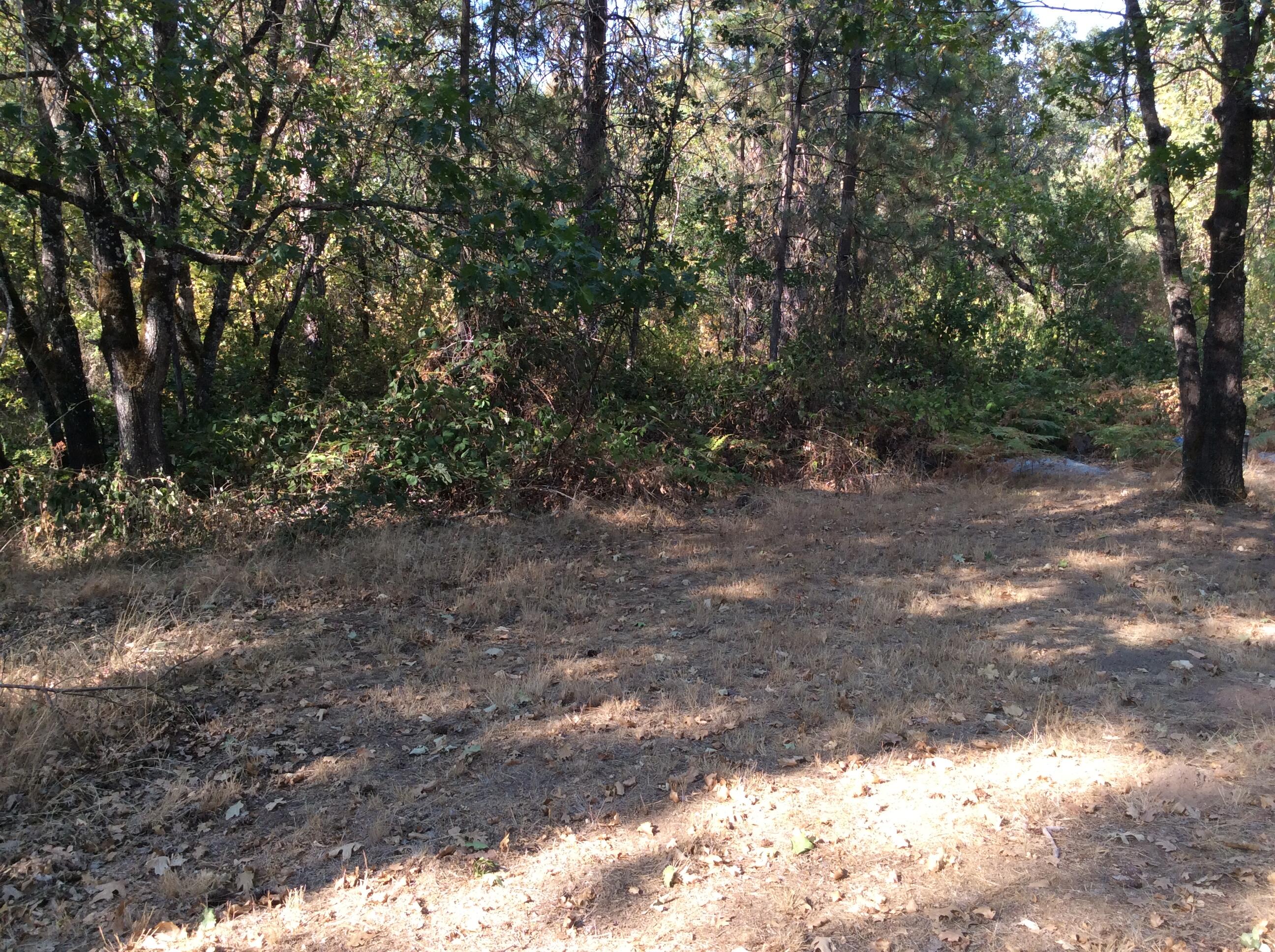 Buckskin Knolls - Land