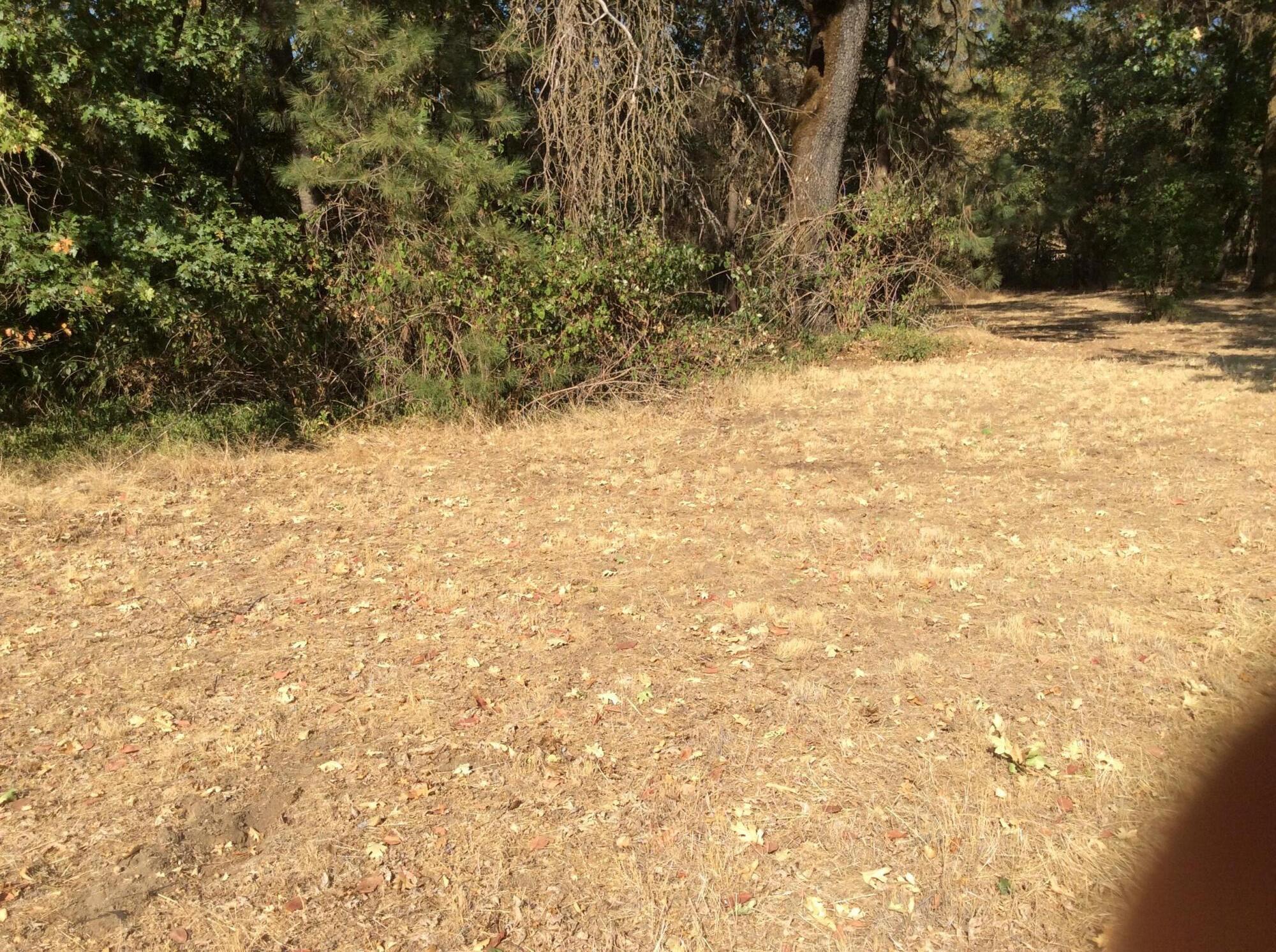 Buckskin Knolls - Land