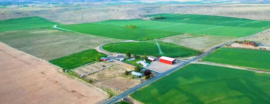 95.87 ac with 92.4 ac water rights. Eligible for organic certification. Growing alfalfa. Land and water can be leased out. Property next to 173,629 ac public land. Farm has 2 LOP tags, 2 GPS pivots. Large pond, 40hp VFD pump. 98'x60' barn equip. storage horse barn connected to 2.5 ac pasture, utility barn, chicken coop, grain bin, green house. Remodeled 3 bed. 2 bath aprx 2100 sq.ft. home. Separate remodeled cottage. In ground heated swimming pool, gazebo, fire pit, large yard, apple trees, coy pond, views.