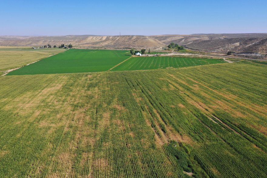 You owe it to yourself to take a good hard look at the possibilities that this farm can offer to the right operator, who is willing to put in a little work, for a big payoff. This farm offers 302± deeded acres, including 146.8± acres that are irrigated from Vale Water District, which comes directly from Bully Creek Reservoir. Currently growing alfalfa hay & corn for the 2021 season. A new owner could continue harvesting as is, plant other row crops, convert all to alfalfa or turn the 146± acres into pasture. The farm headquarters include a 4-bedroom, 1-bathroom farmhouse & 2 small shops & the opportunity for additional building sites. The charming 1900 farmhouse has been updated with forced air & laminate flooring, but still features some of the original hardwood floors. One of the shops has an RV hook up. Situated in a nice area and surrounded by other small farms, this is the perfect place for your family to put some roots down, do a little work & enjoy the benefits of country living