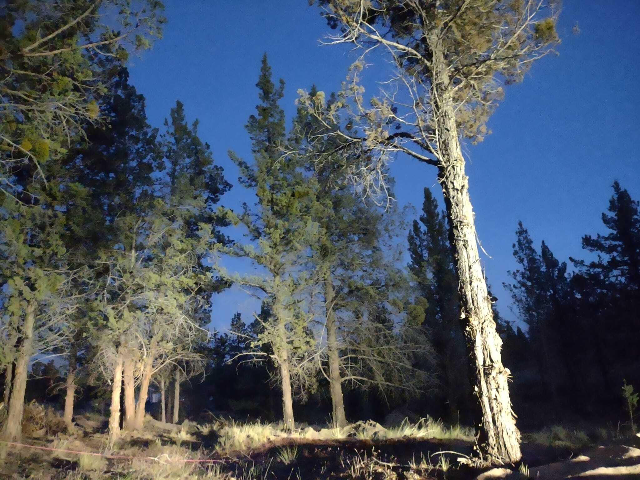 Golden Horseshoe - Land