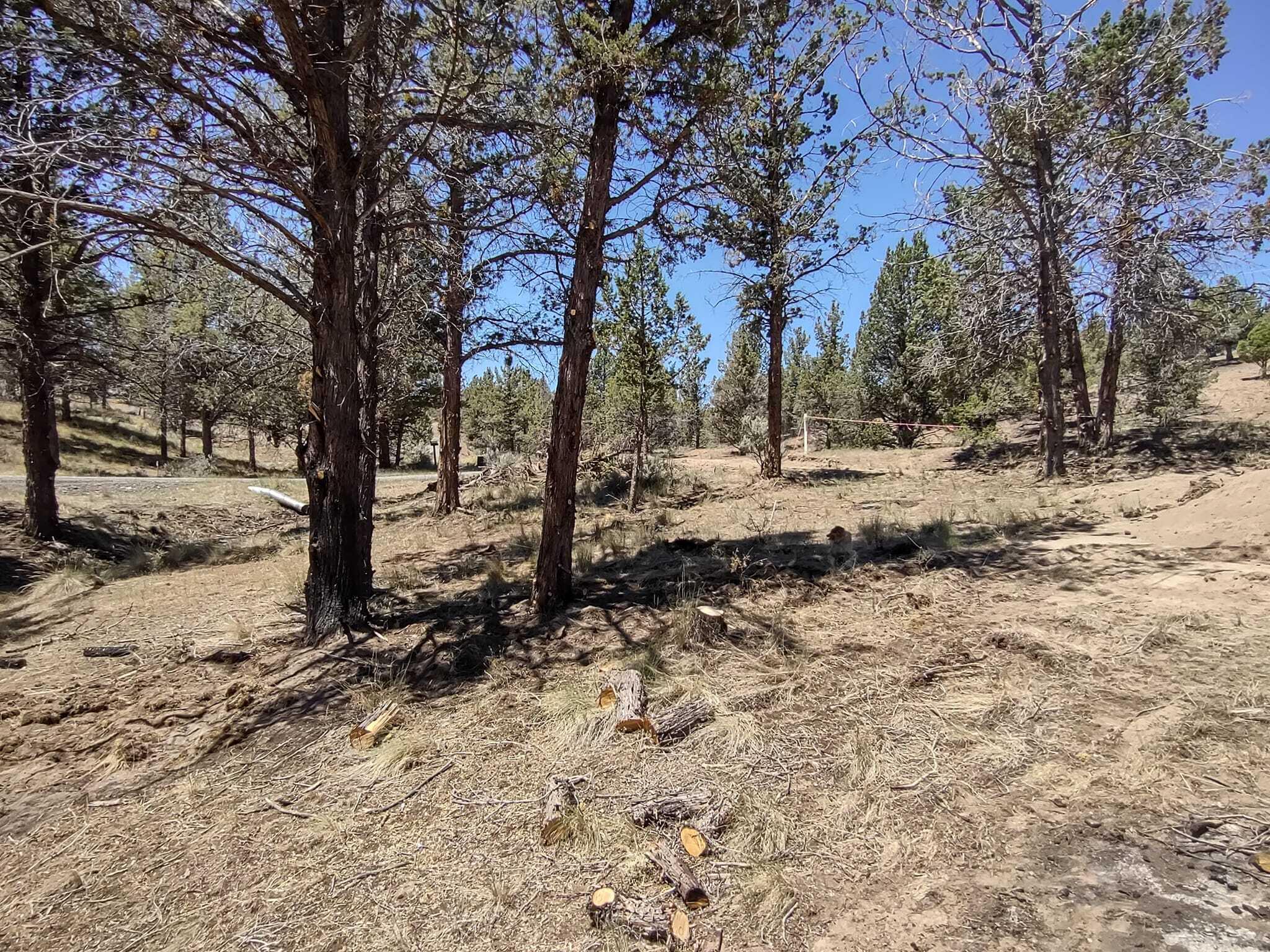 Golden Horseshoe - Land