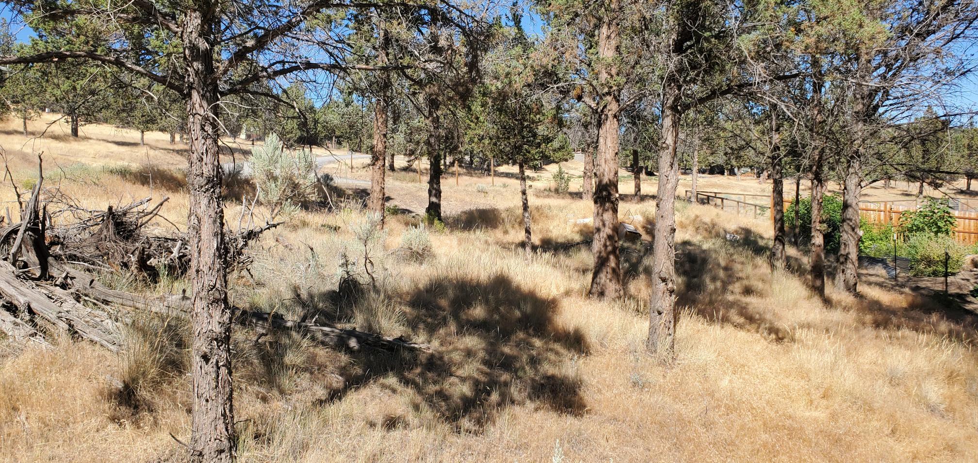 Golden Horseshoe - Land