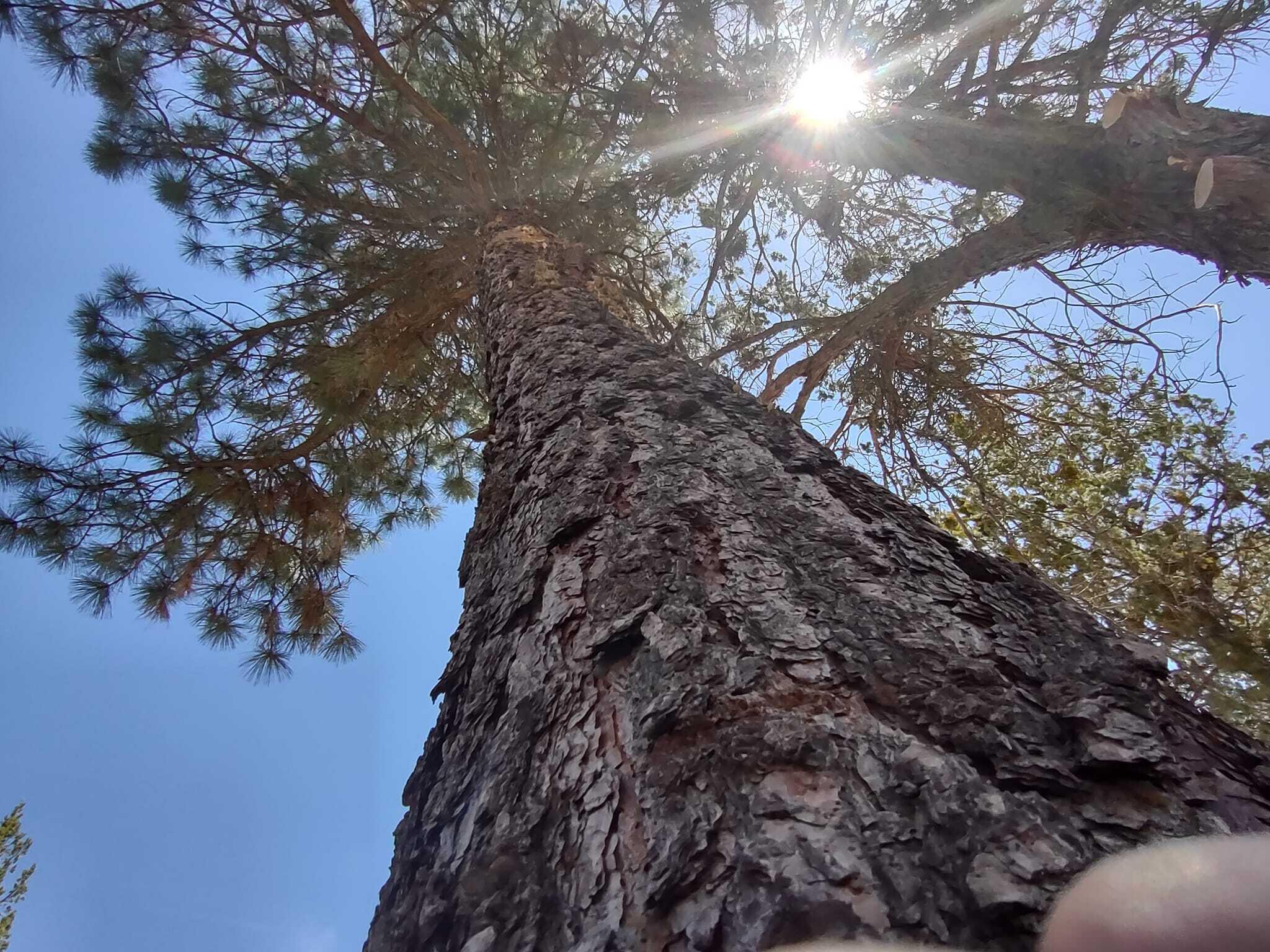 Golden Horseshoe - Land