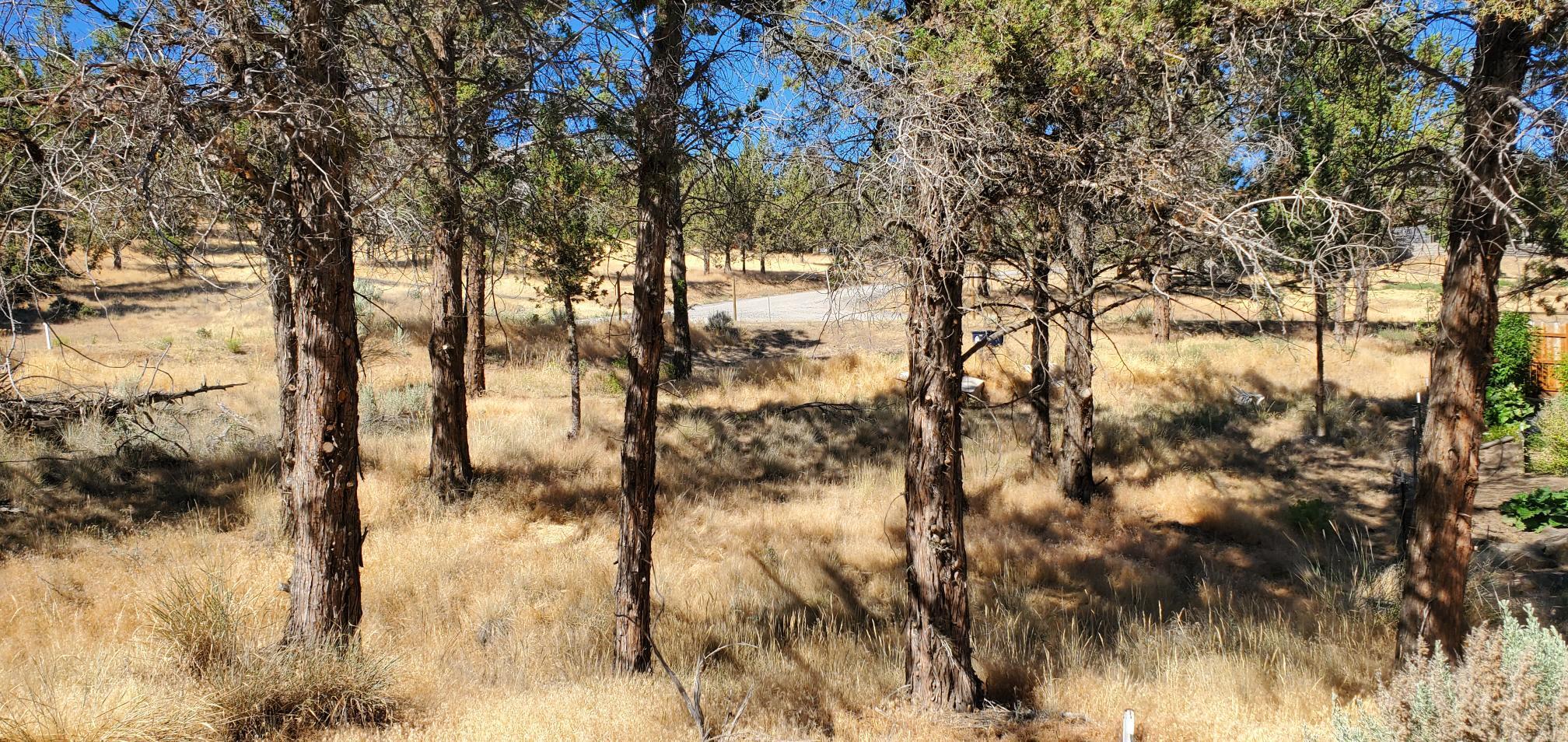 Golden Horseshoe - Land