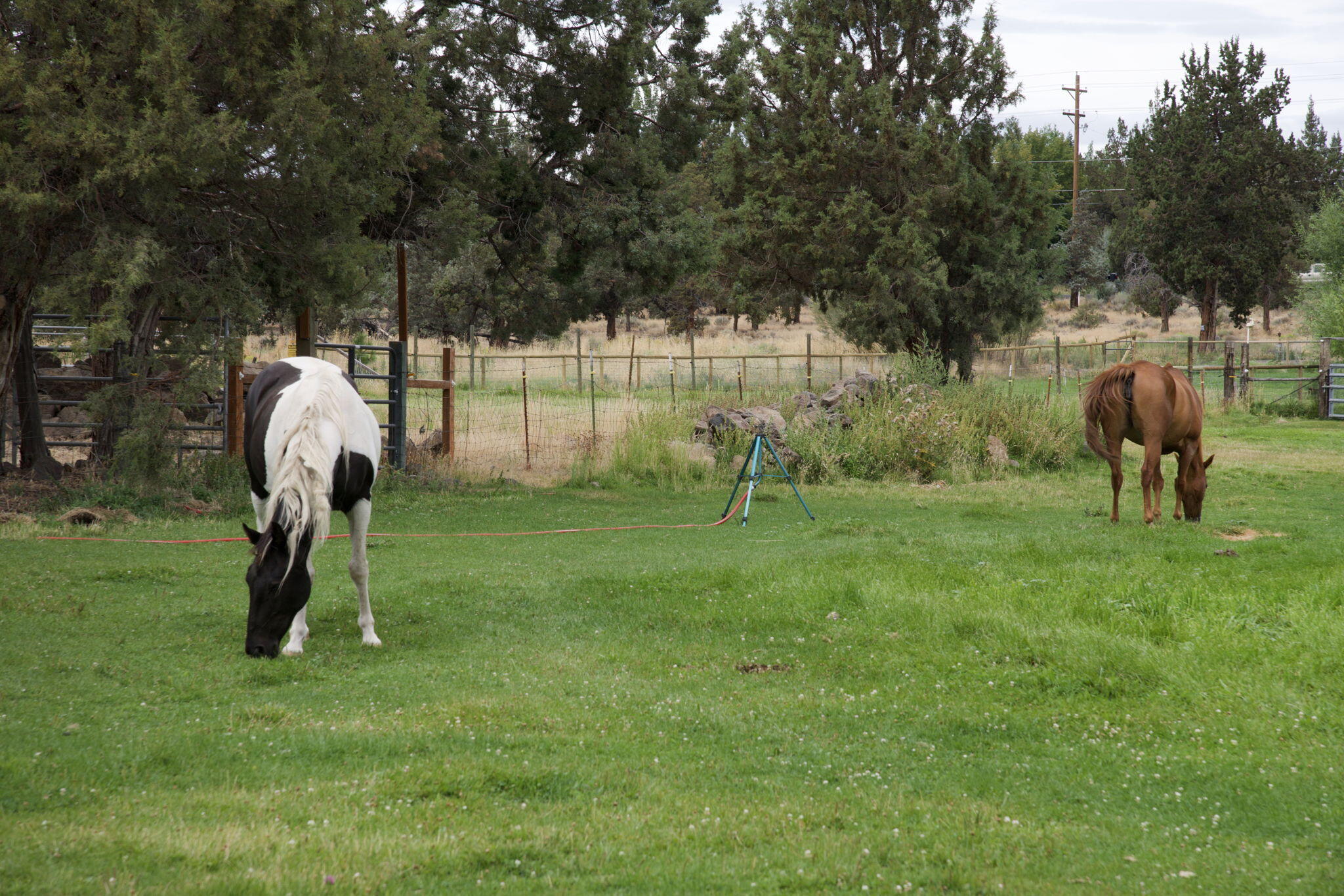 Rancho El Sereno - Residential