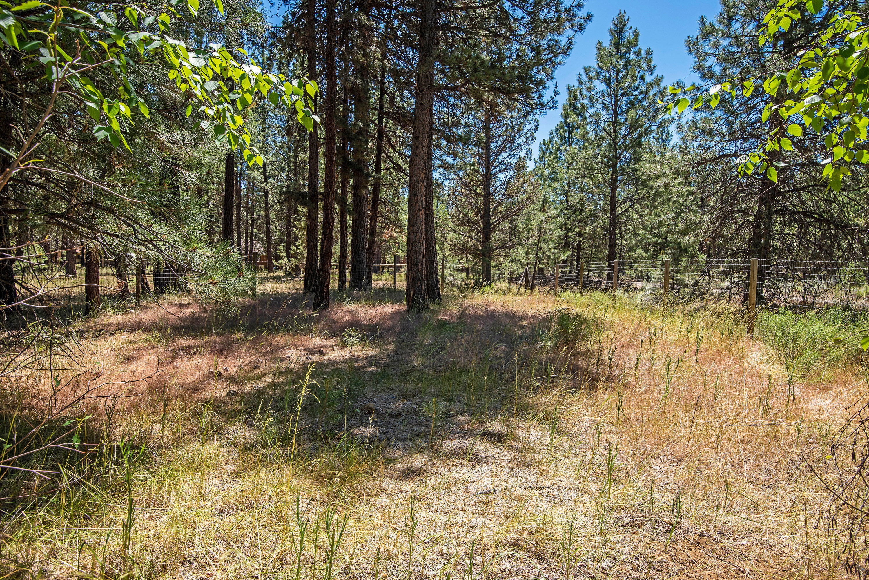 Tollgate - Residential