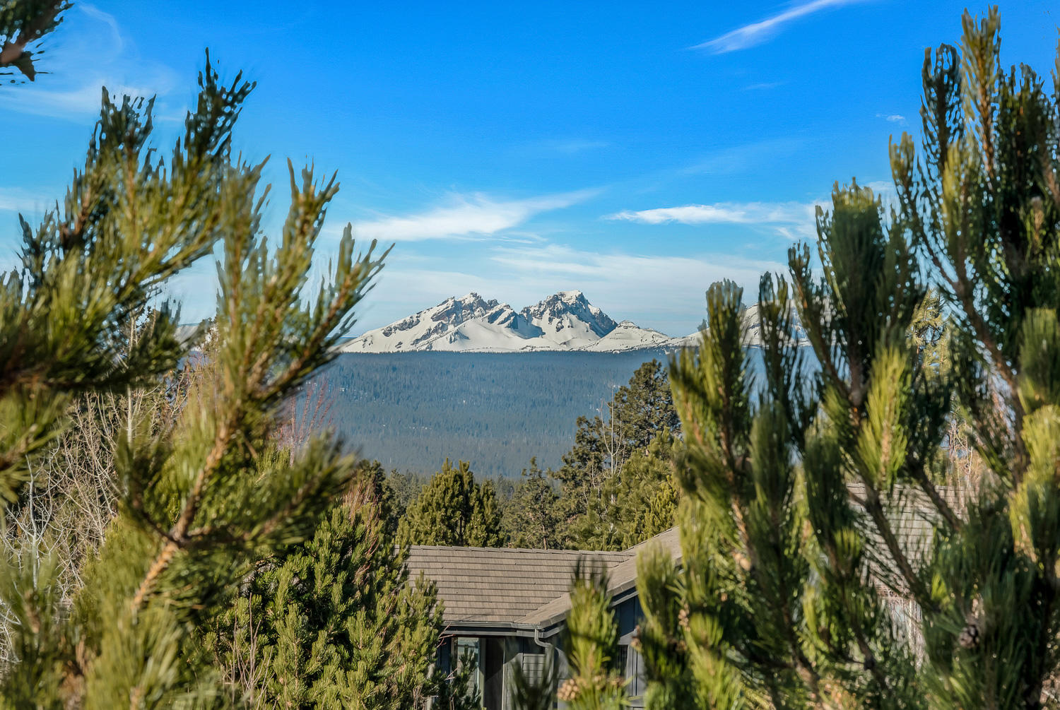 Skyliner Summit - Residential