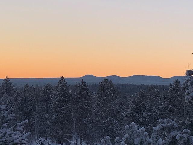 Skyliner Summit - Residential