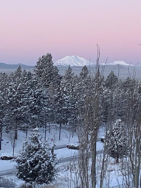 Skyliner Summit - Residential