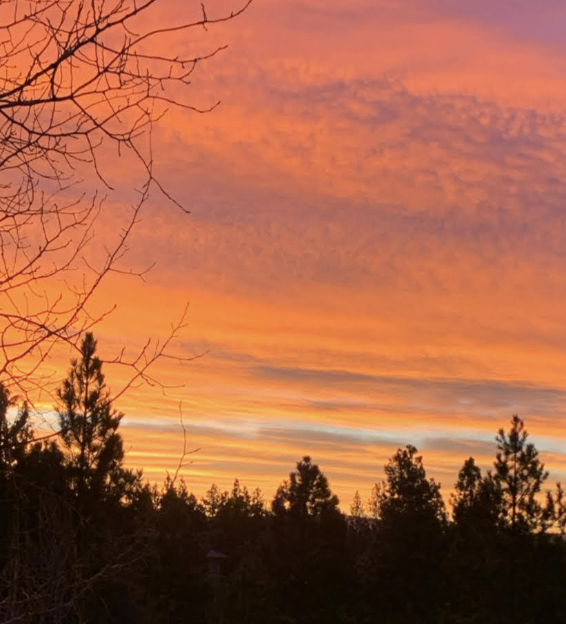 Skyliner Summit - Residential